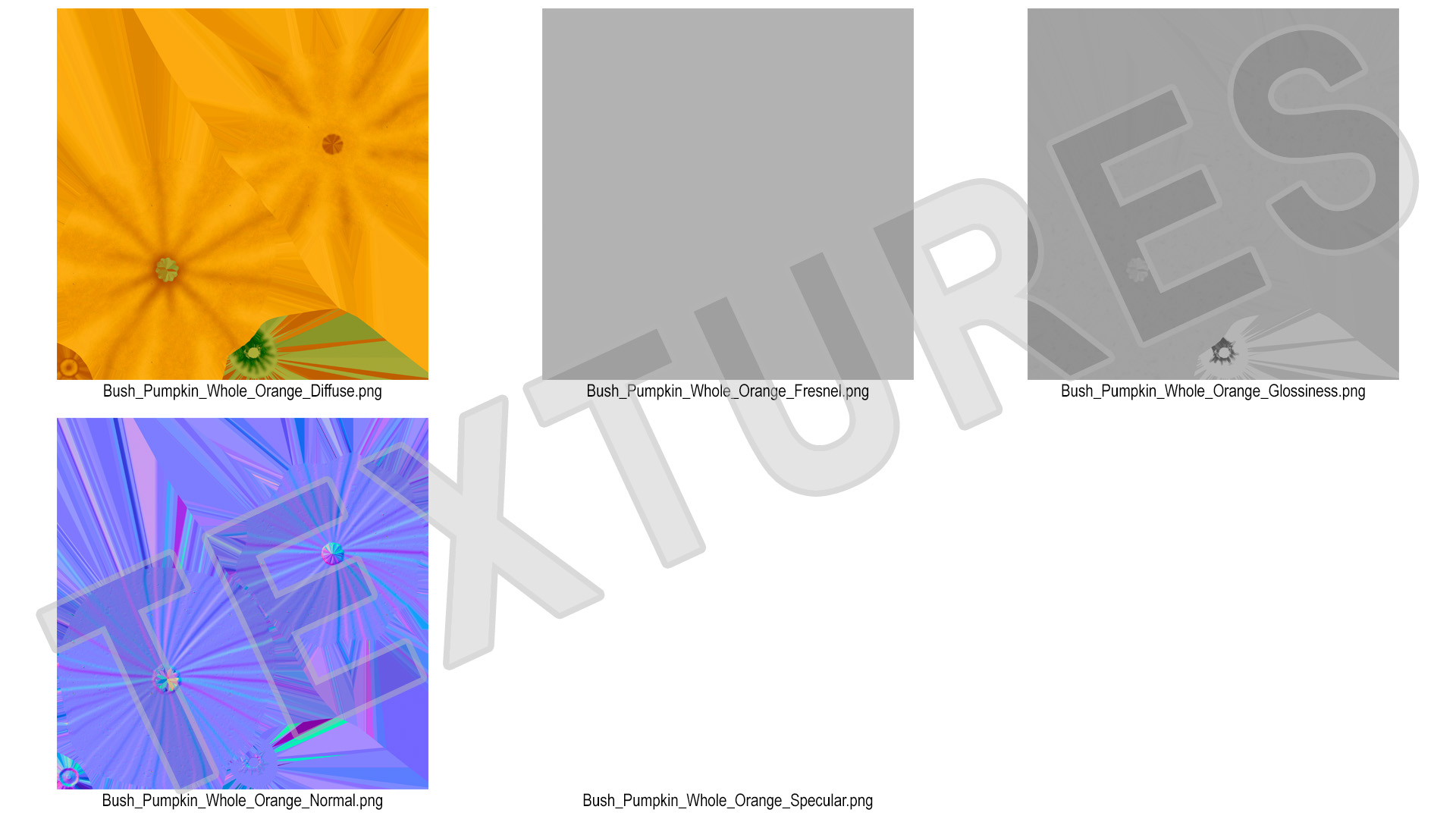 3D model Orange Color Bush Pumpkin
