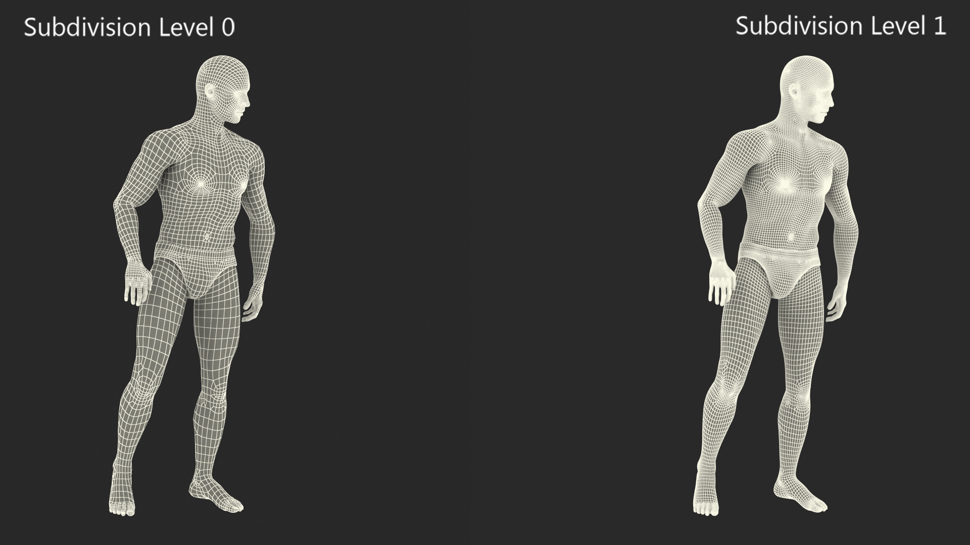 Male Athletic Figure in Underwear Fur 3D