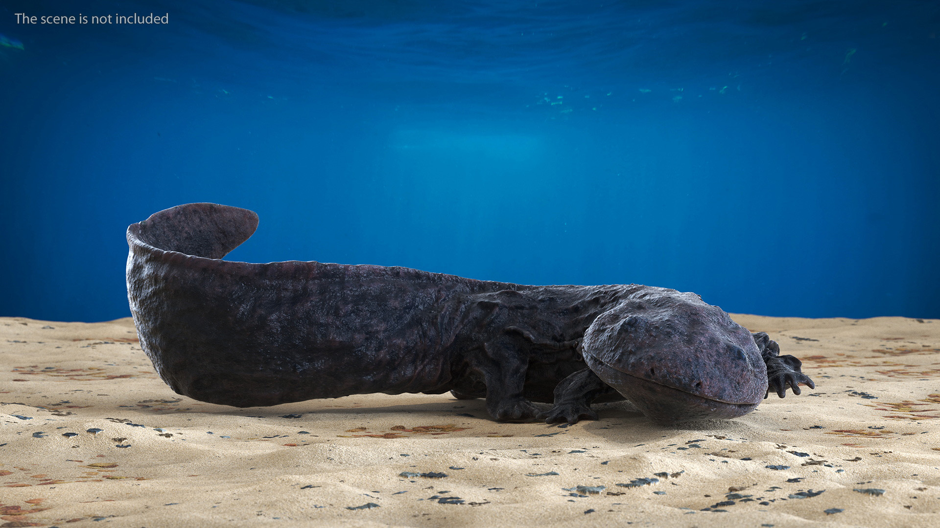 3D model Salamander Dark Wet Lying