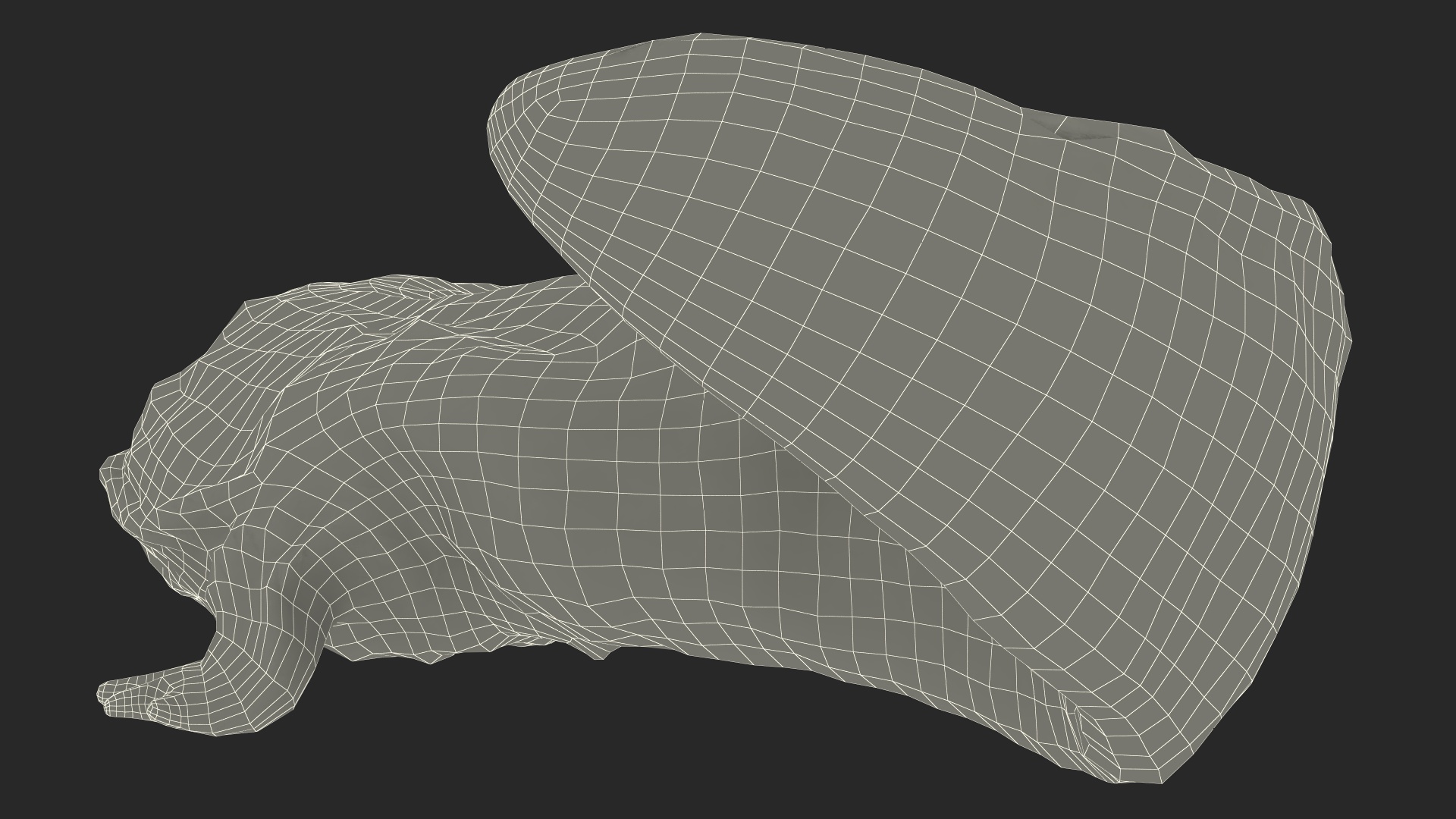 3D model Salamander Dark Wet Lying