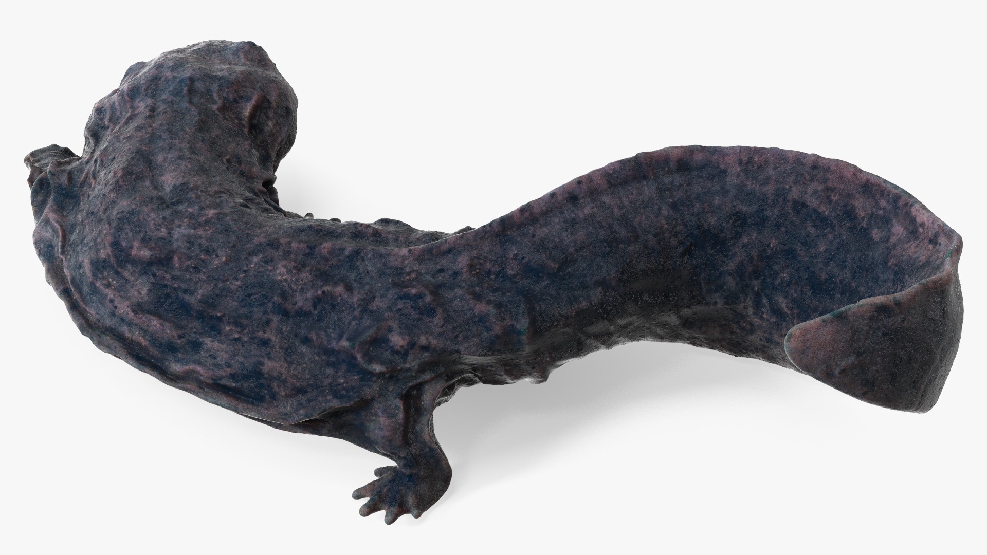 3D model Salamander Dark Wet Lying