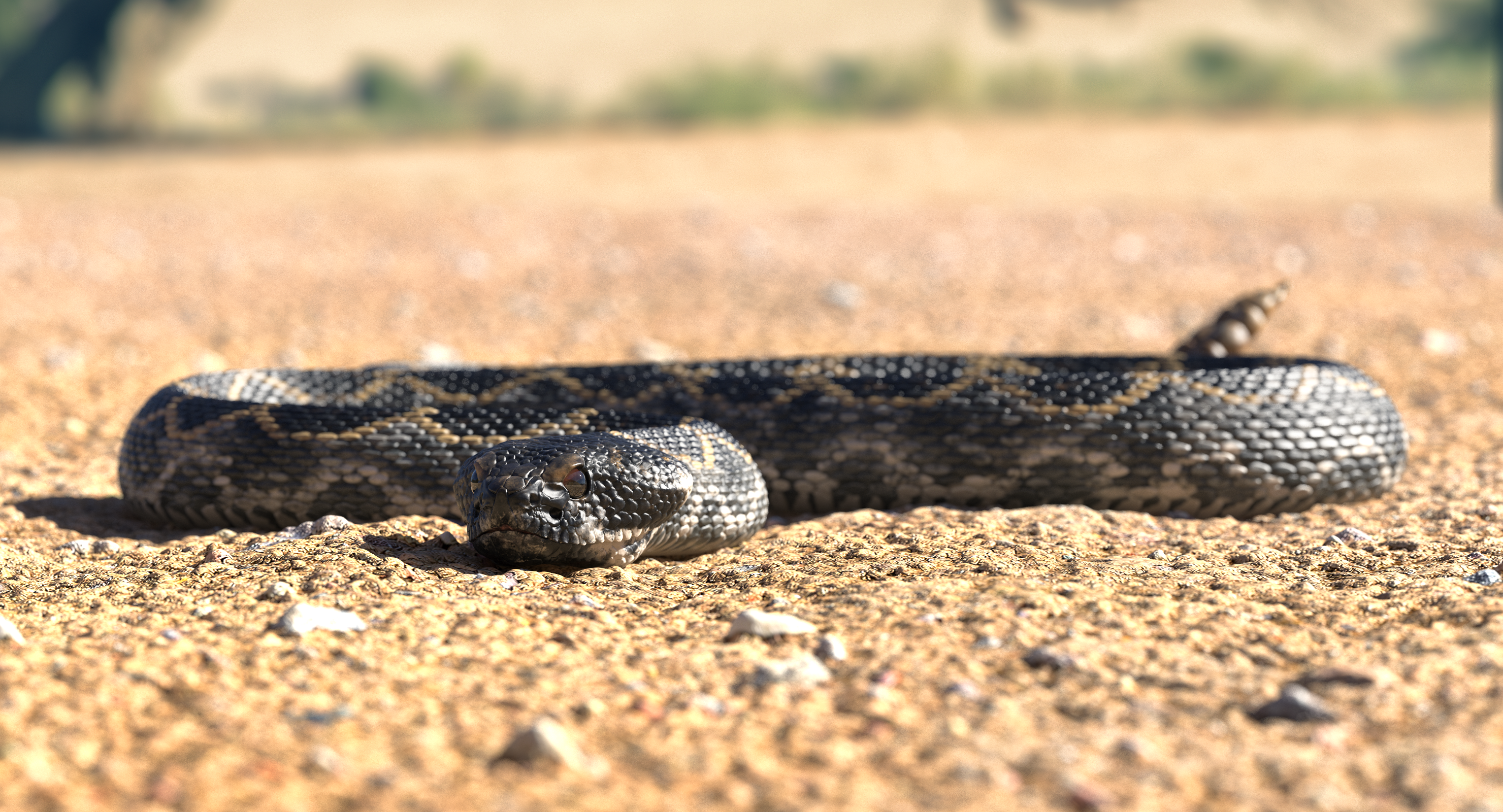 Dark Rattlesnake Crawling Pose, view 6