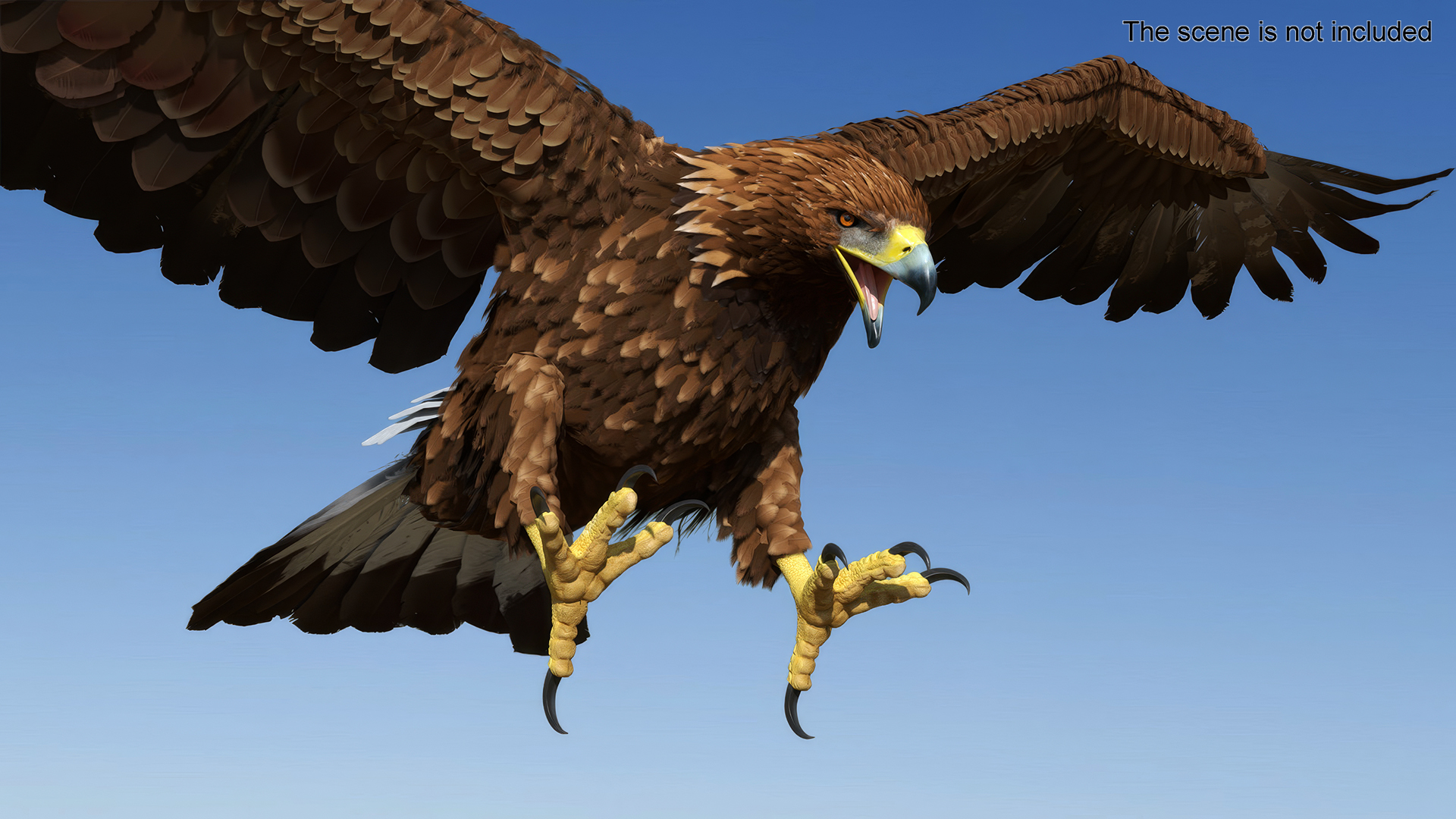 Realistic Golden Eagle Rigged 3D model
