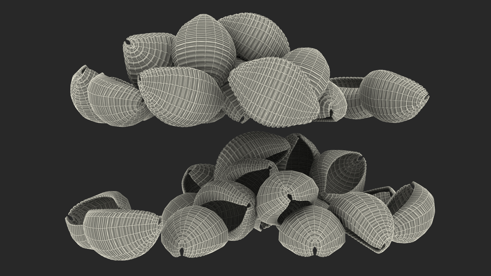 Shells Pasta 3D