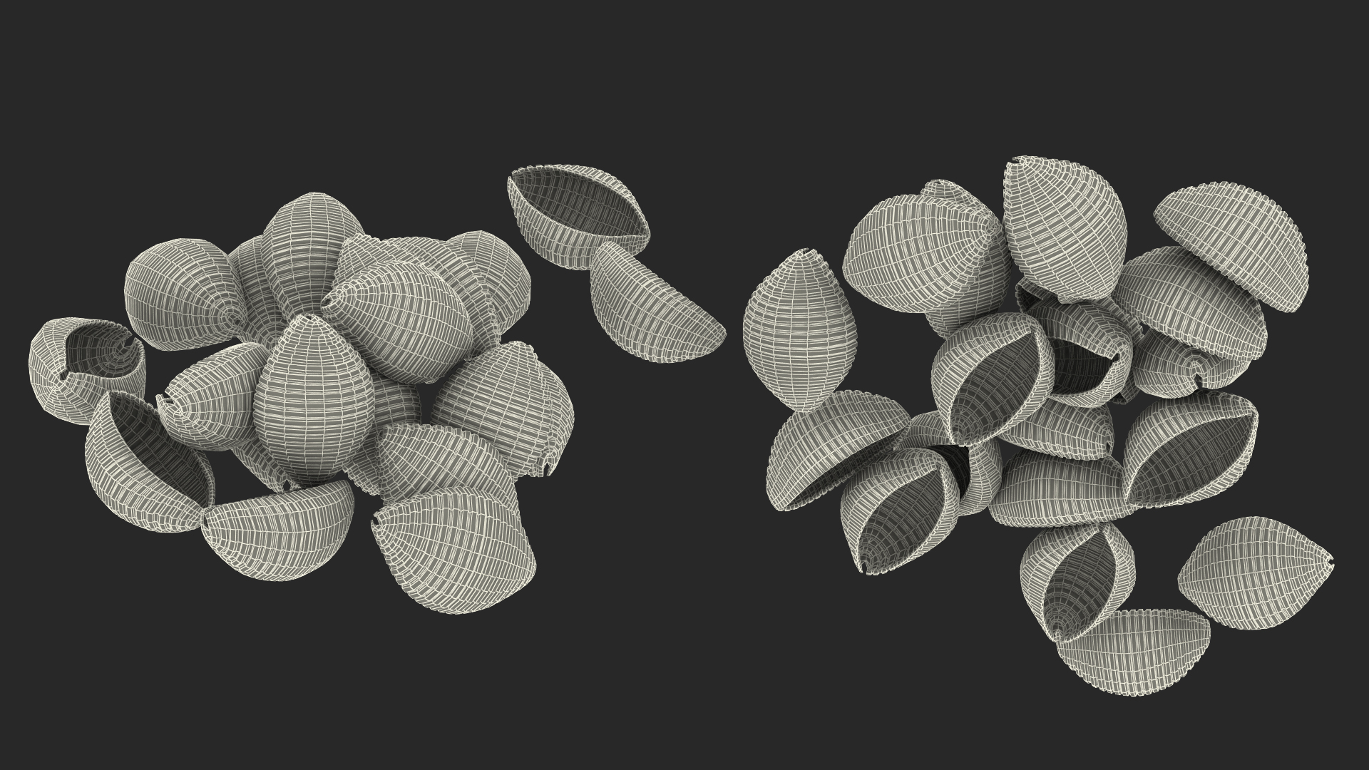 Shells Pasta 3D