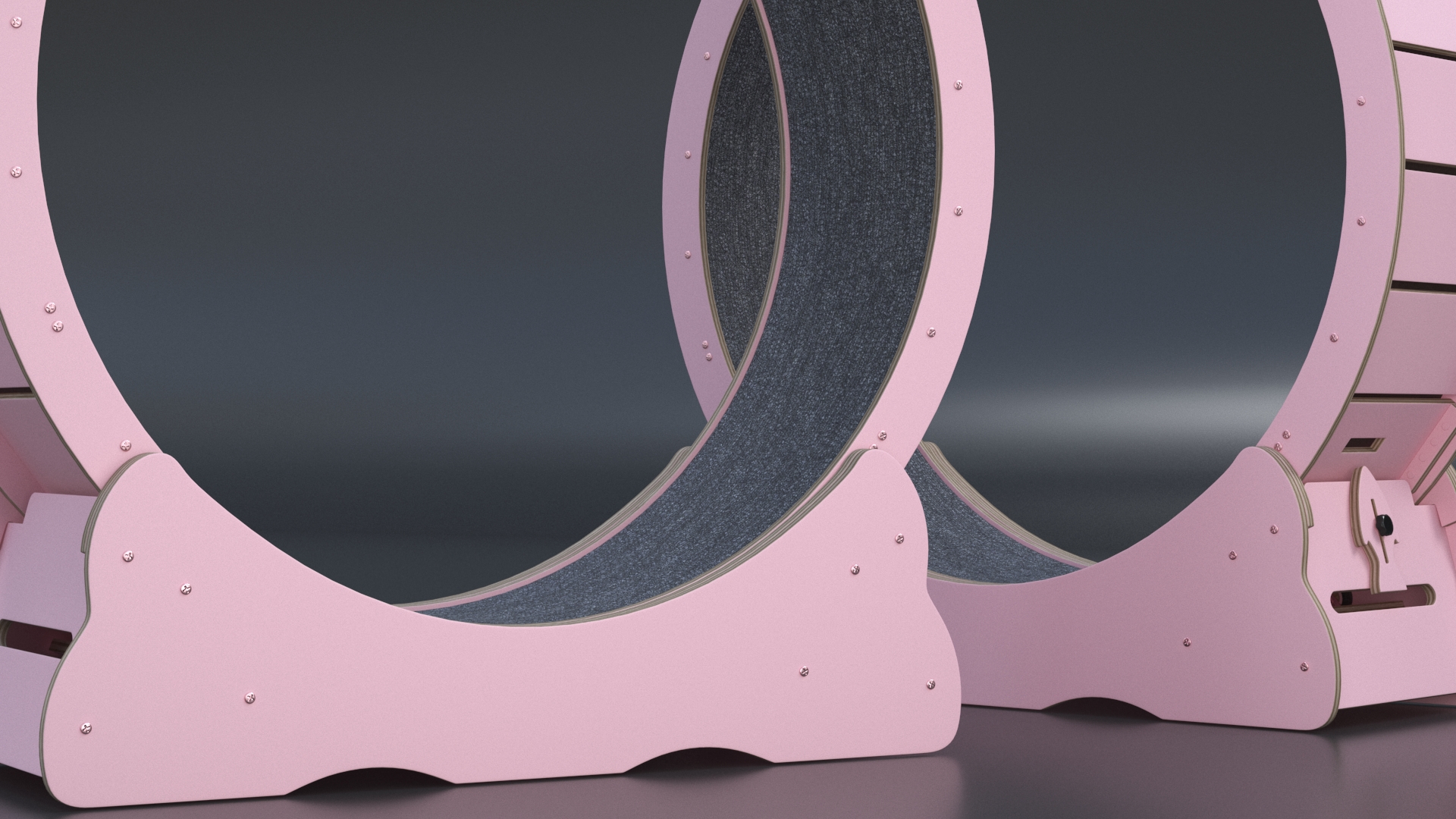 Pet Running Wheel 3D