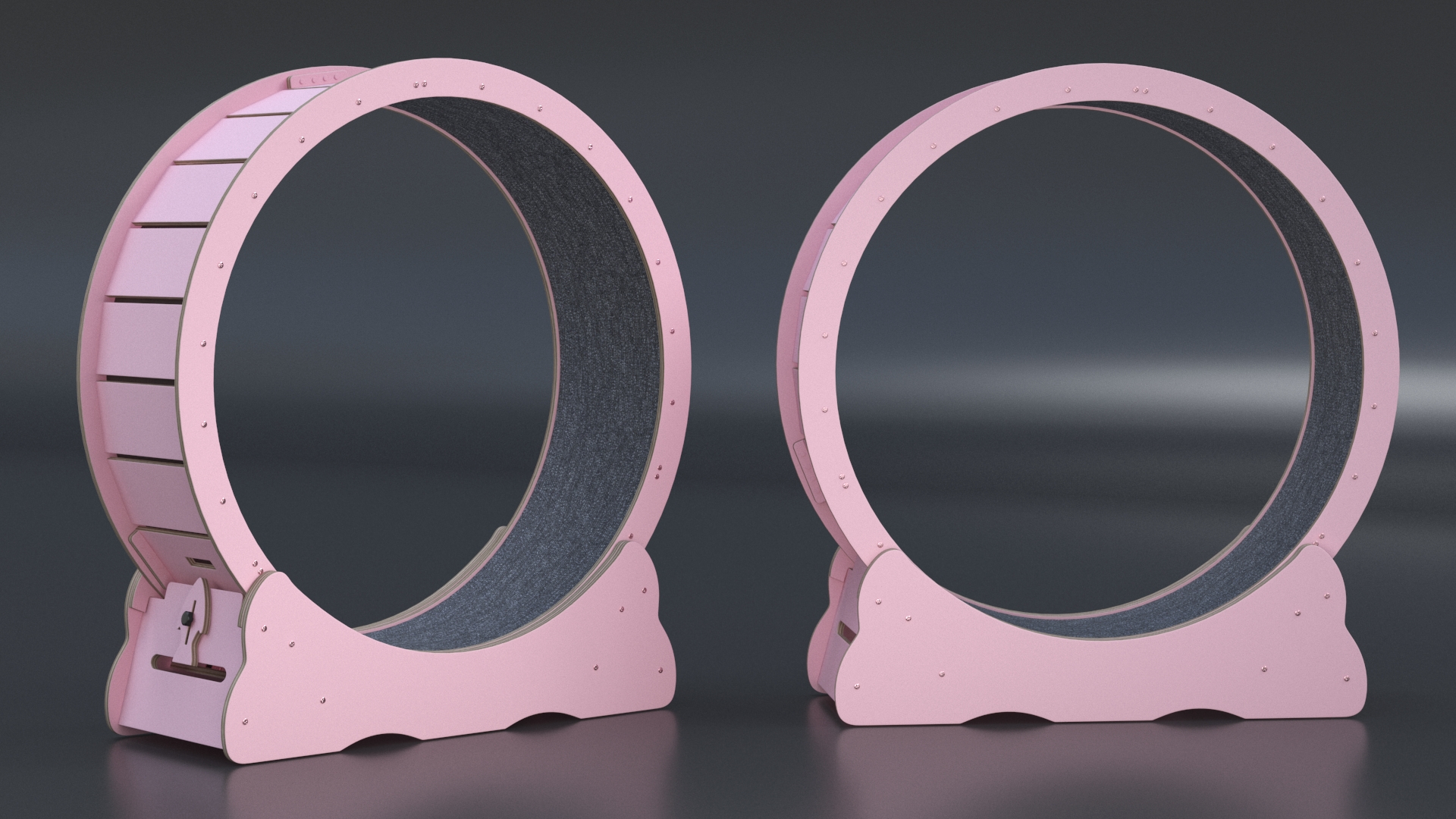 Pet Running Wheel 3D