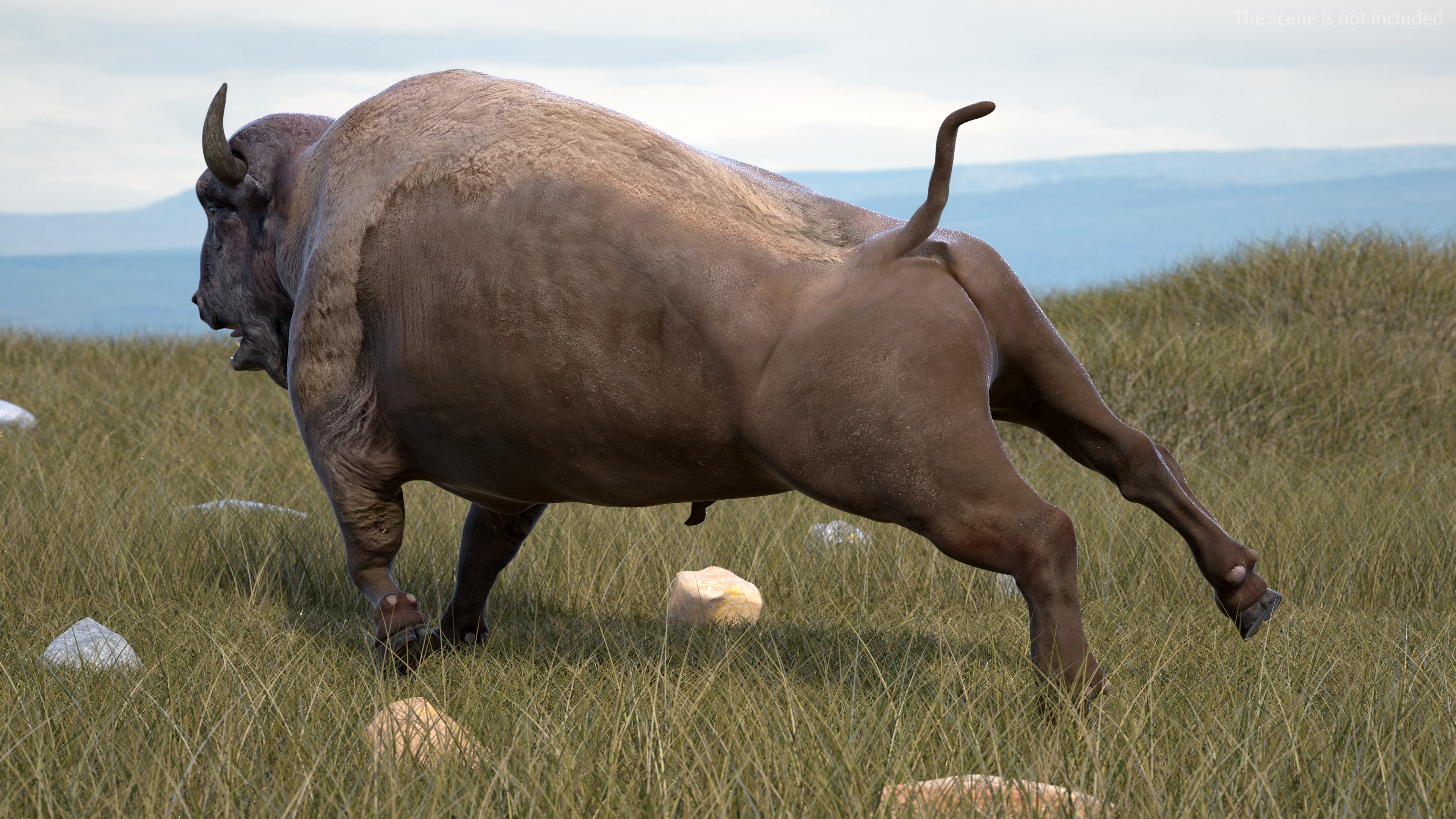 3D model American Bison Rigged for Maya
