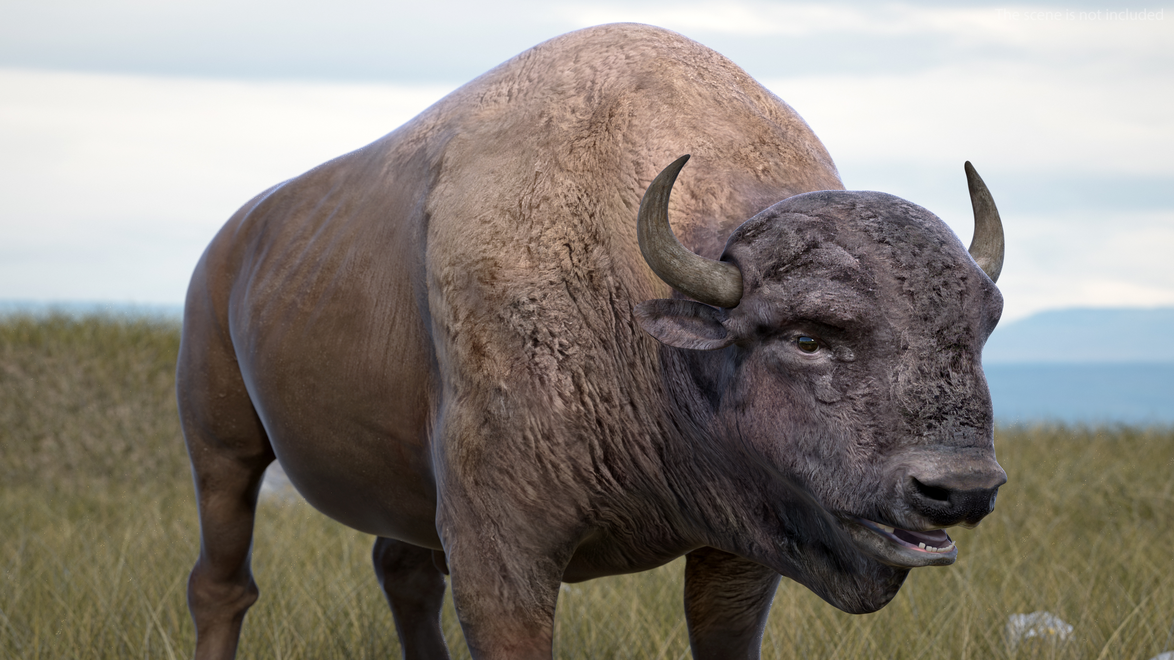 3D model American Bison Rigged for Maya