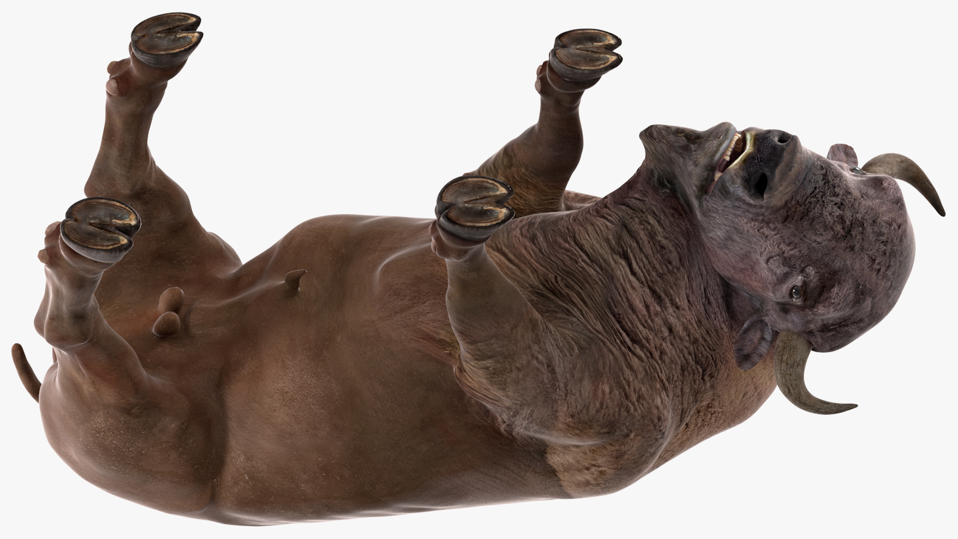 3D model American Bison Rigged for Maya