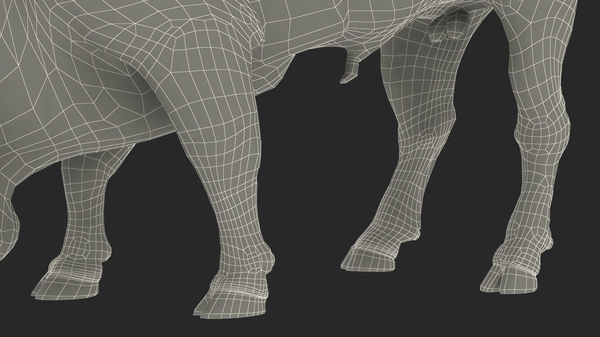 3D model American Bison Rigged for Maya