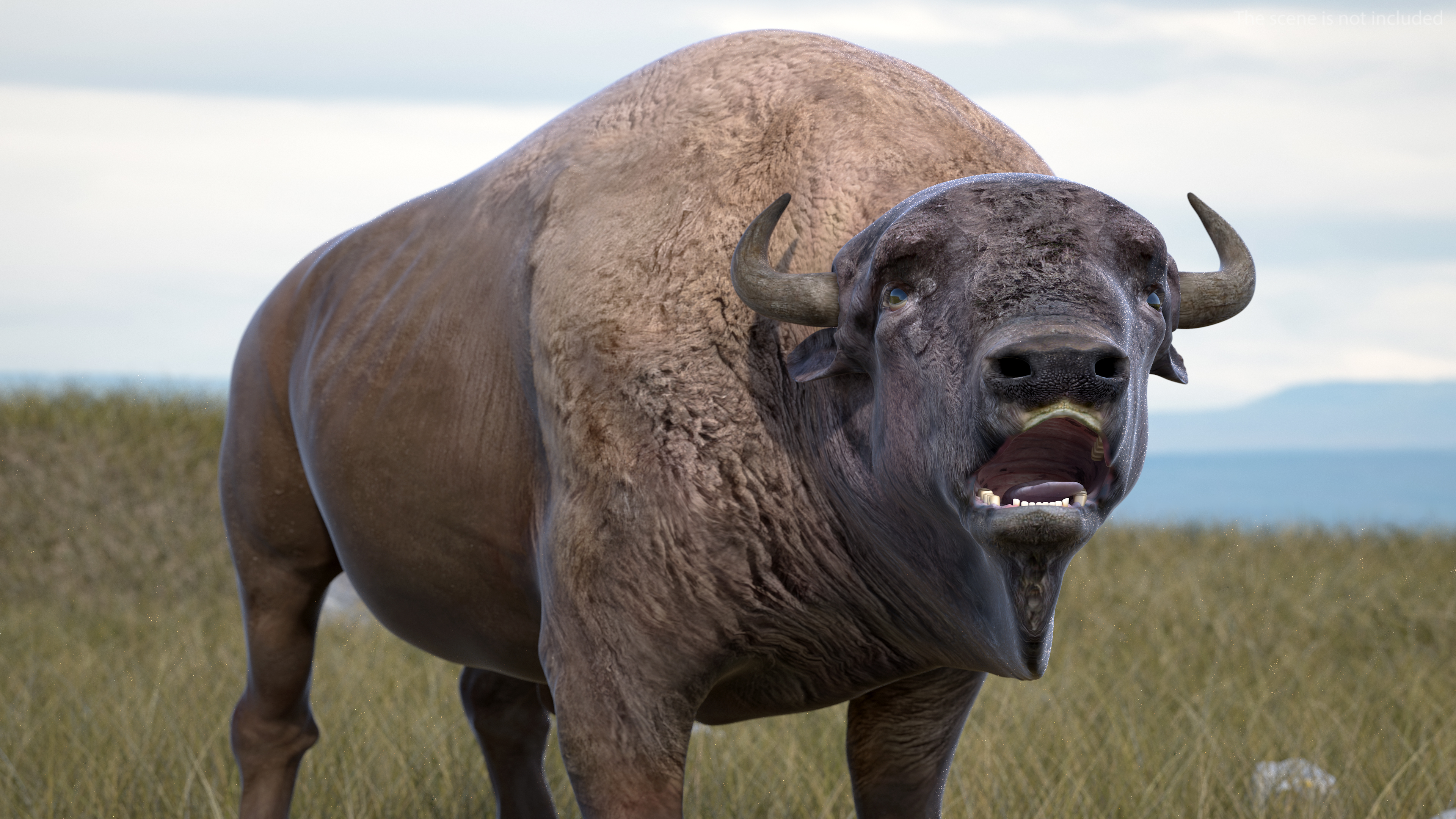 3D model American Bison Rigged for Maya