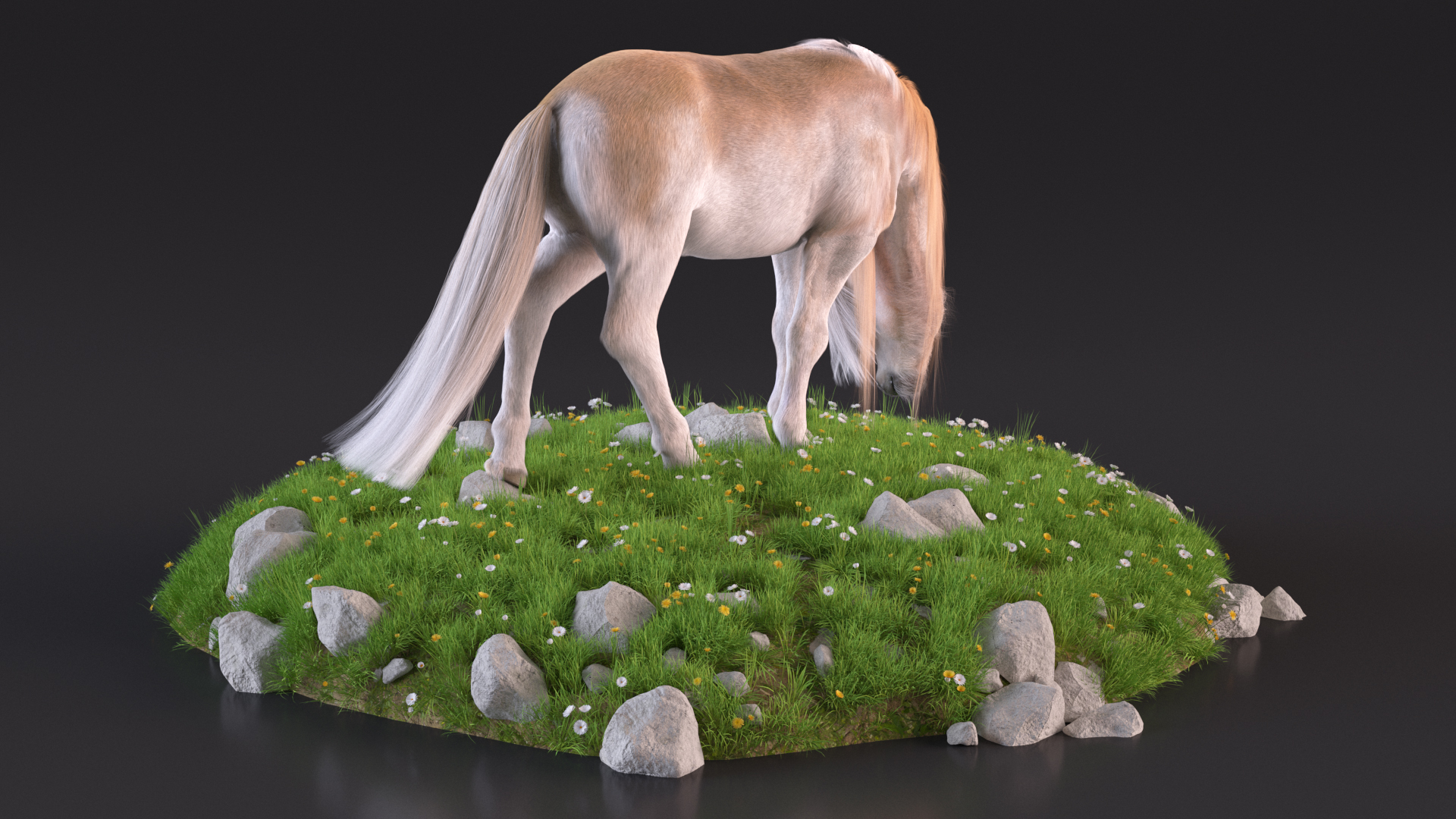 3D Pony with Long Mane Grazing in a Meadow Fur model