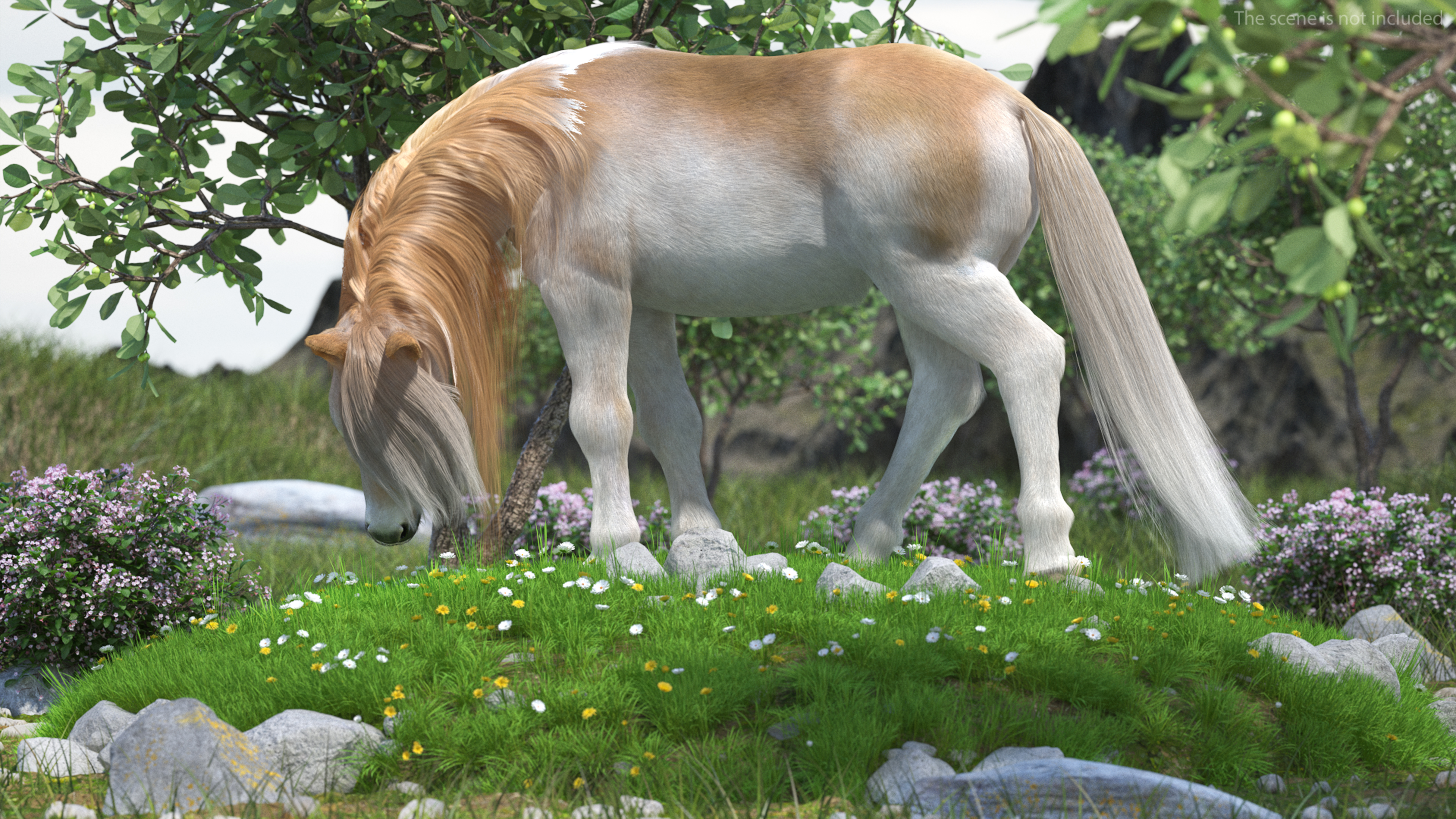 3D Pony with Long Mane Grazing in a Meadow Fur model