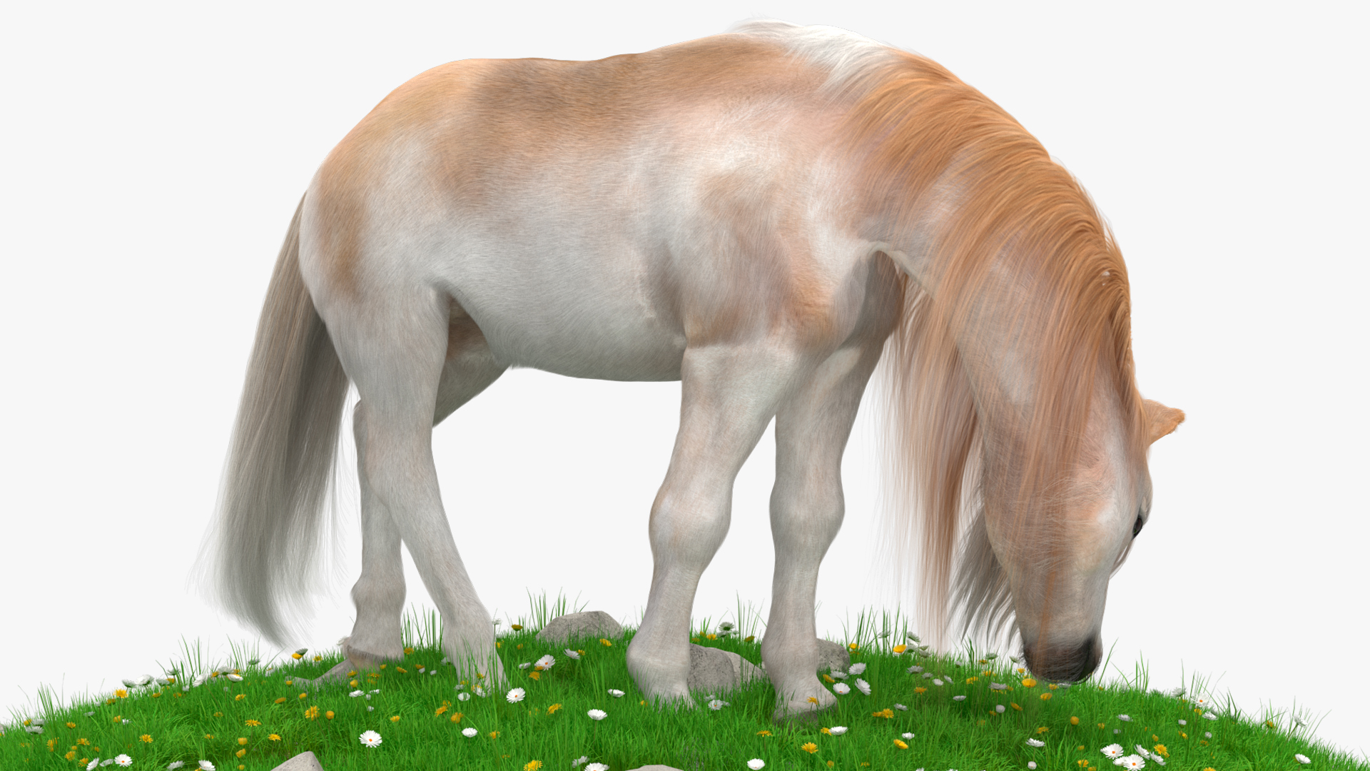 3D Pony with Long Mane Grazing in a Meadow Fur model