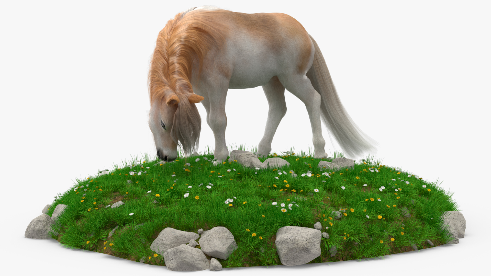 3D Pony with Long Mane Grazing in a Meadow Fur model