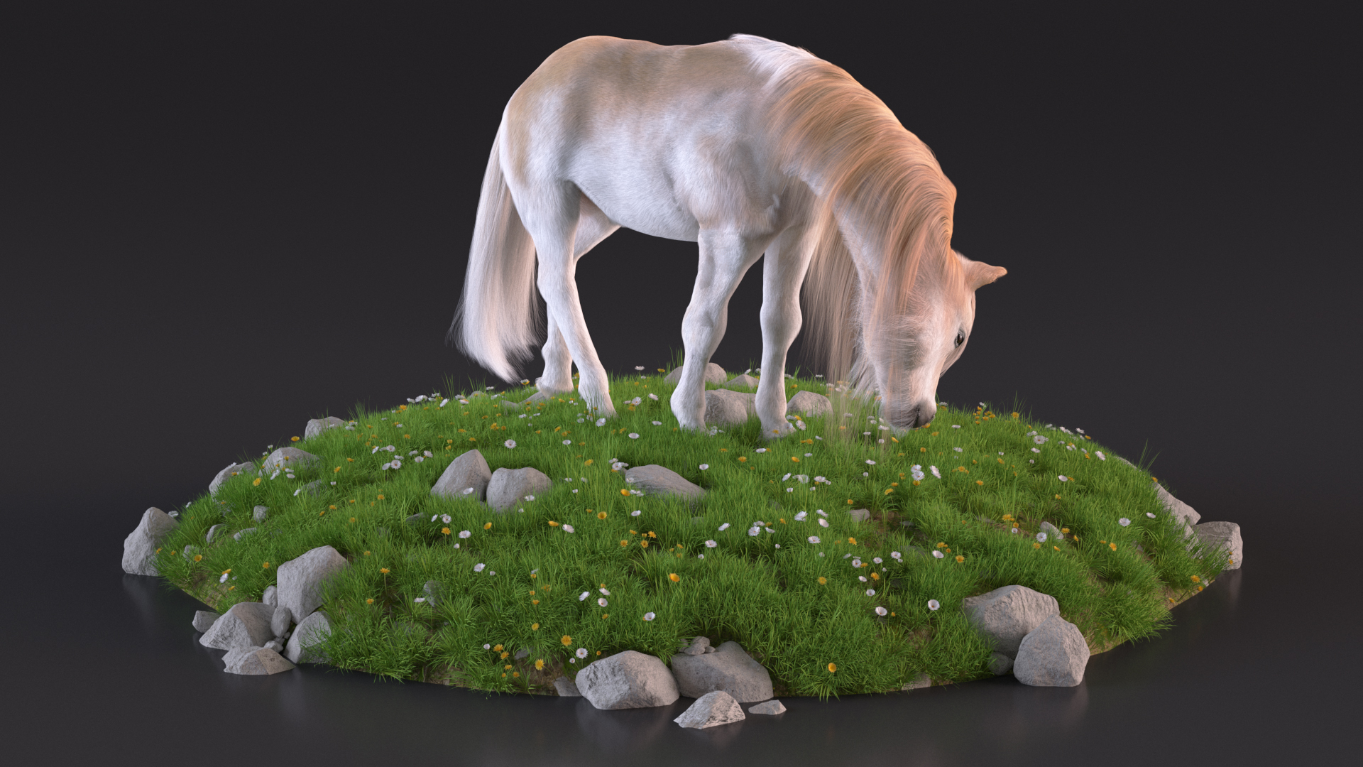 3D Pony with Long Mane Grazing in a Meadow Fur model