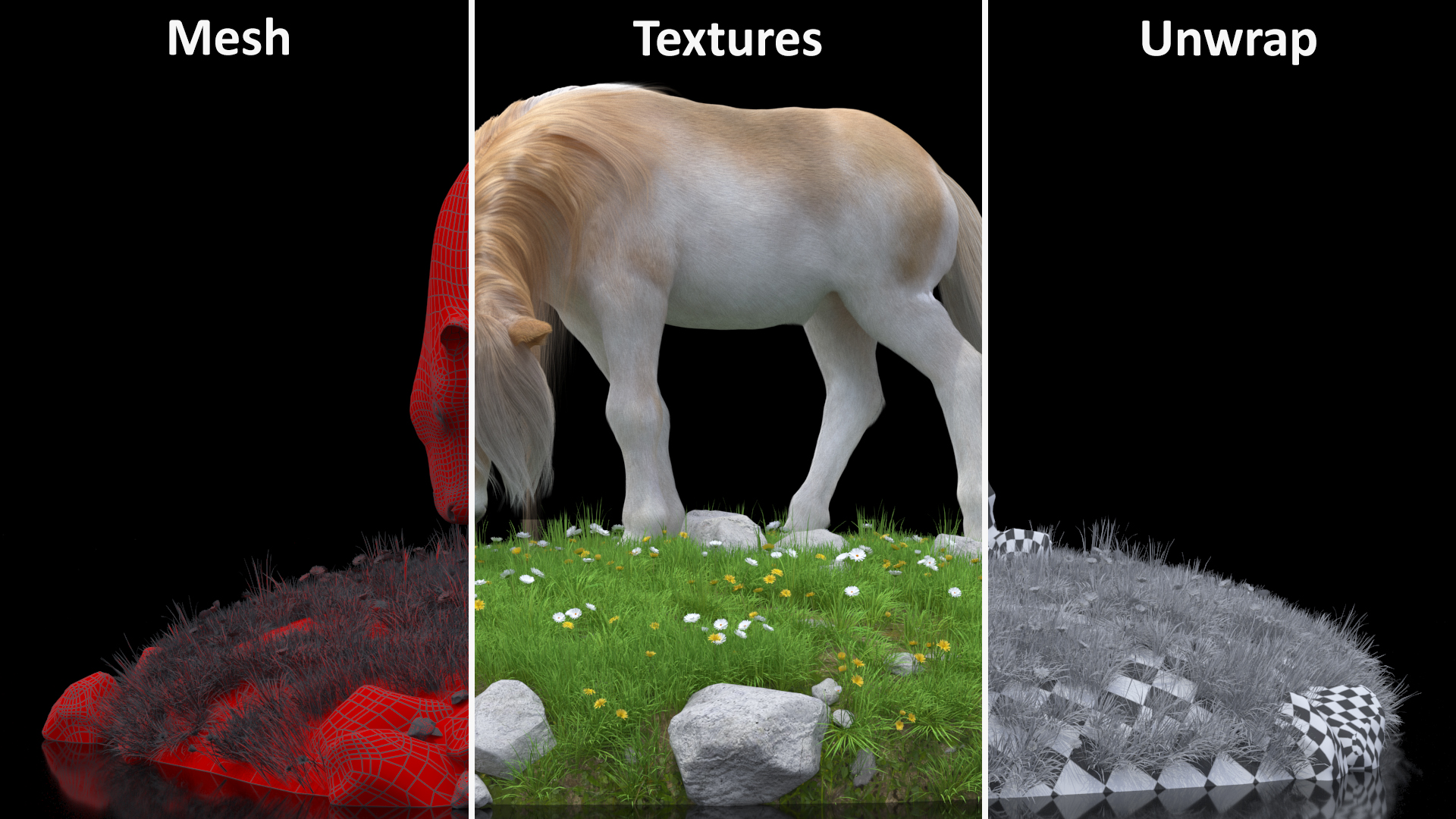 3D Pony with Long Mane Grazing in a Meadow Fur model