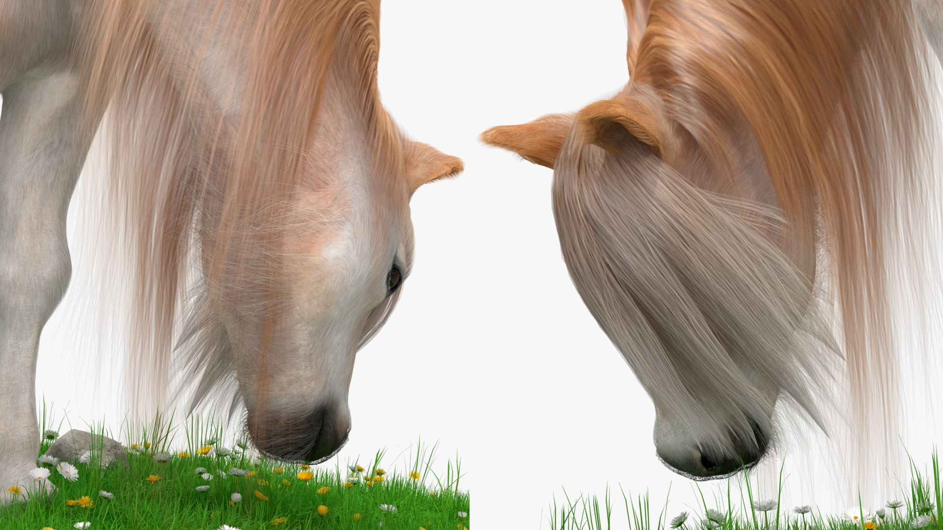3D Pony with Long Mane Grazing in a Meadow Fur model