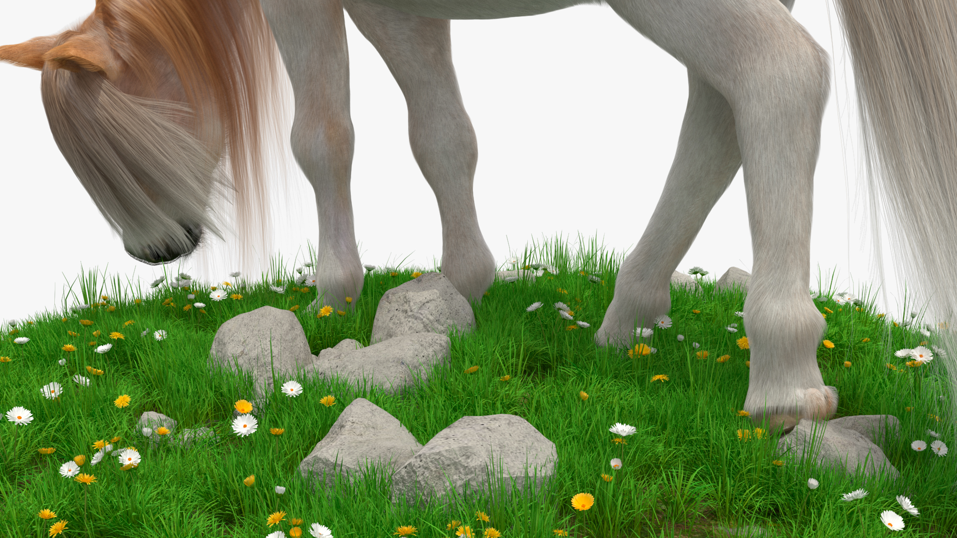3D Pony with Long Mane Grazing in a Meadow Fur model