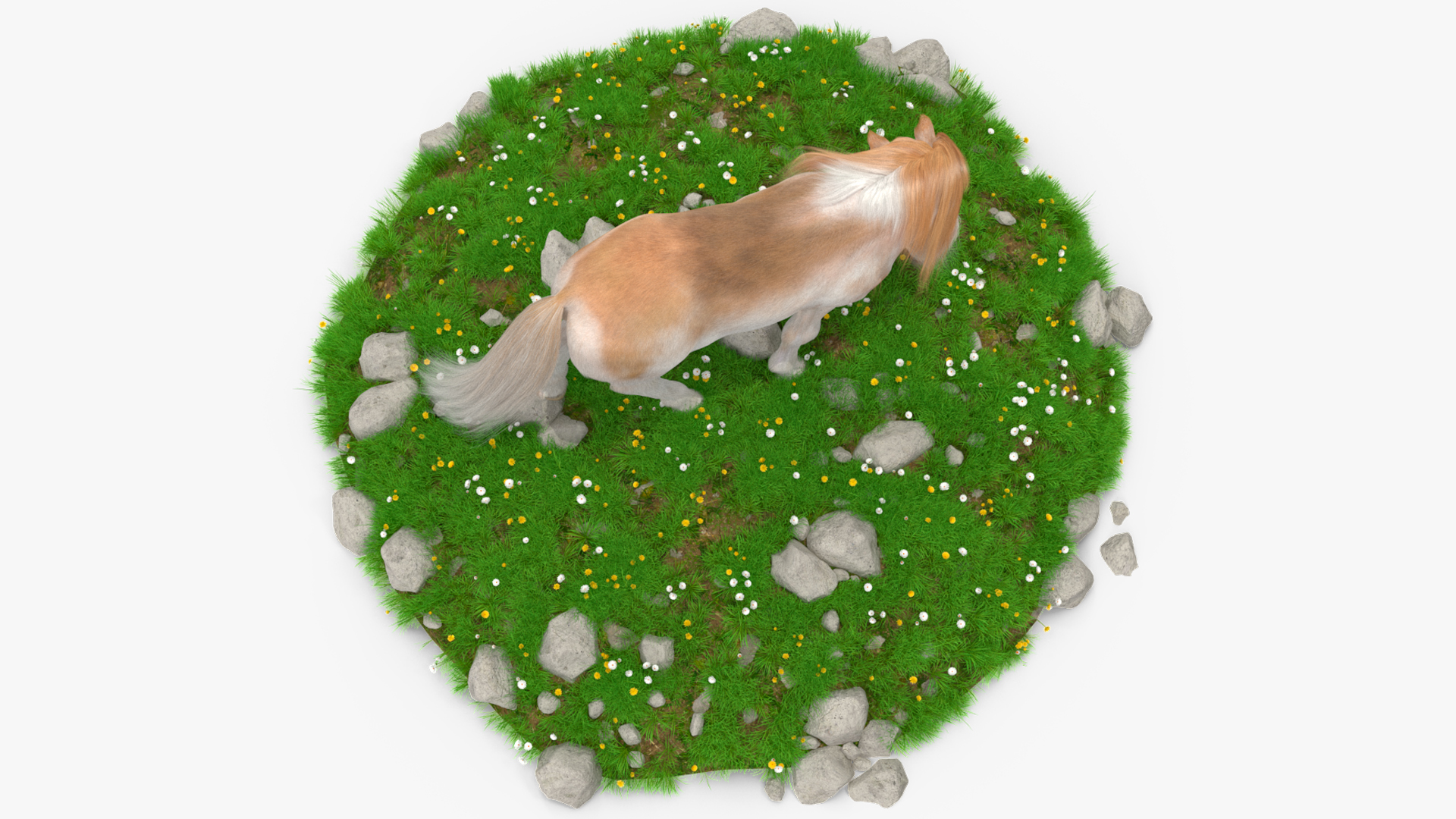 3D Pony with Long Mane Grazing in a Meadow Fur model