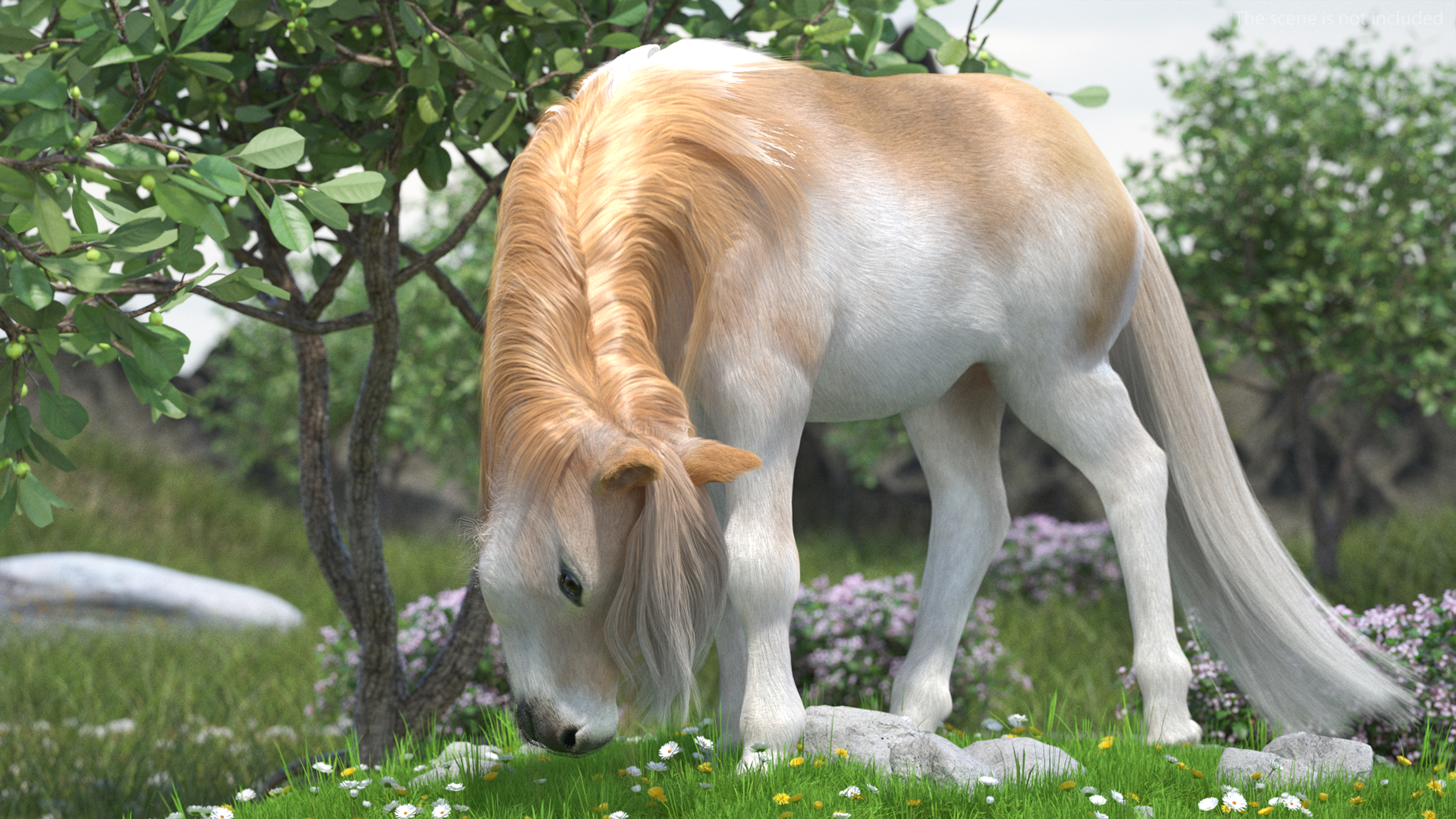 3D Pony with Long Mane Grazing in a Meadow Fur model