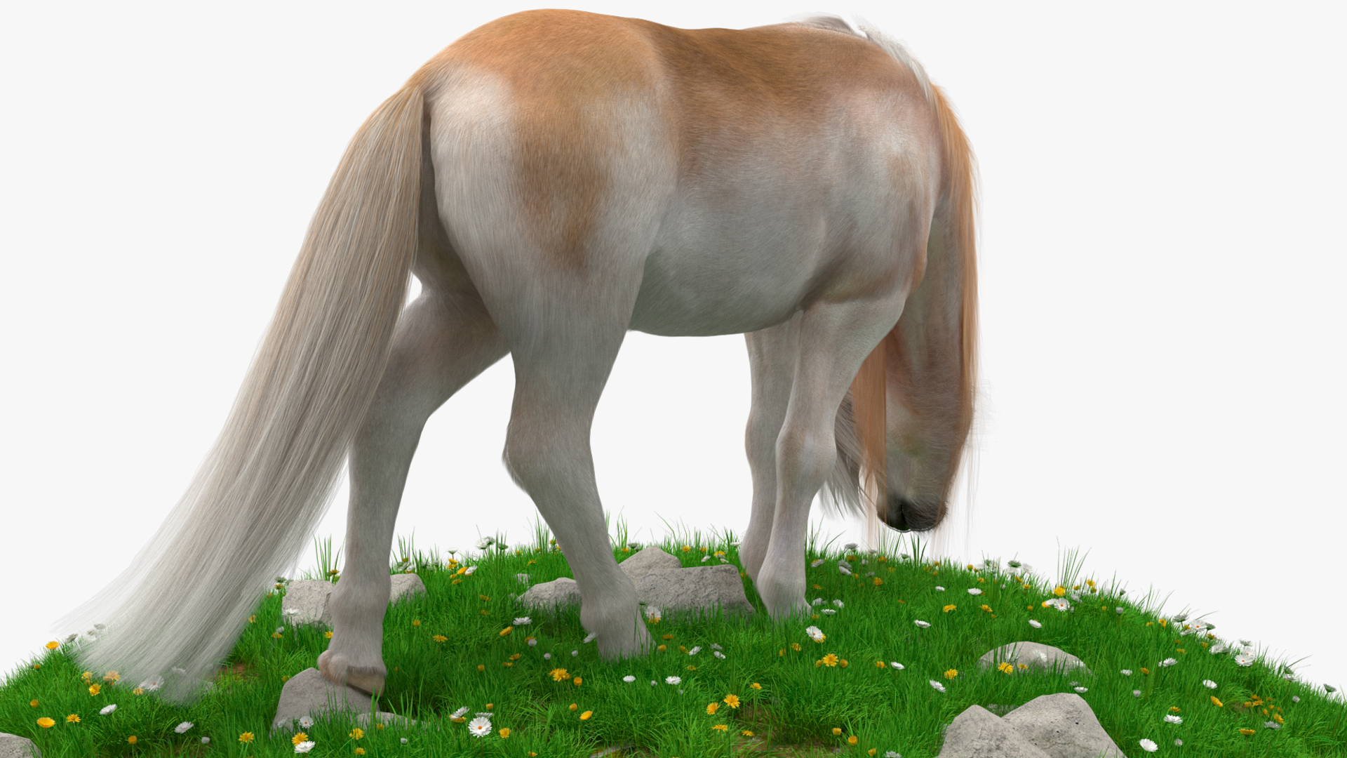 3D Pony with Long Mane Grazing in a Meadow Fur model