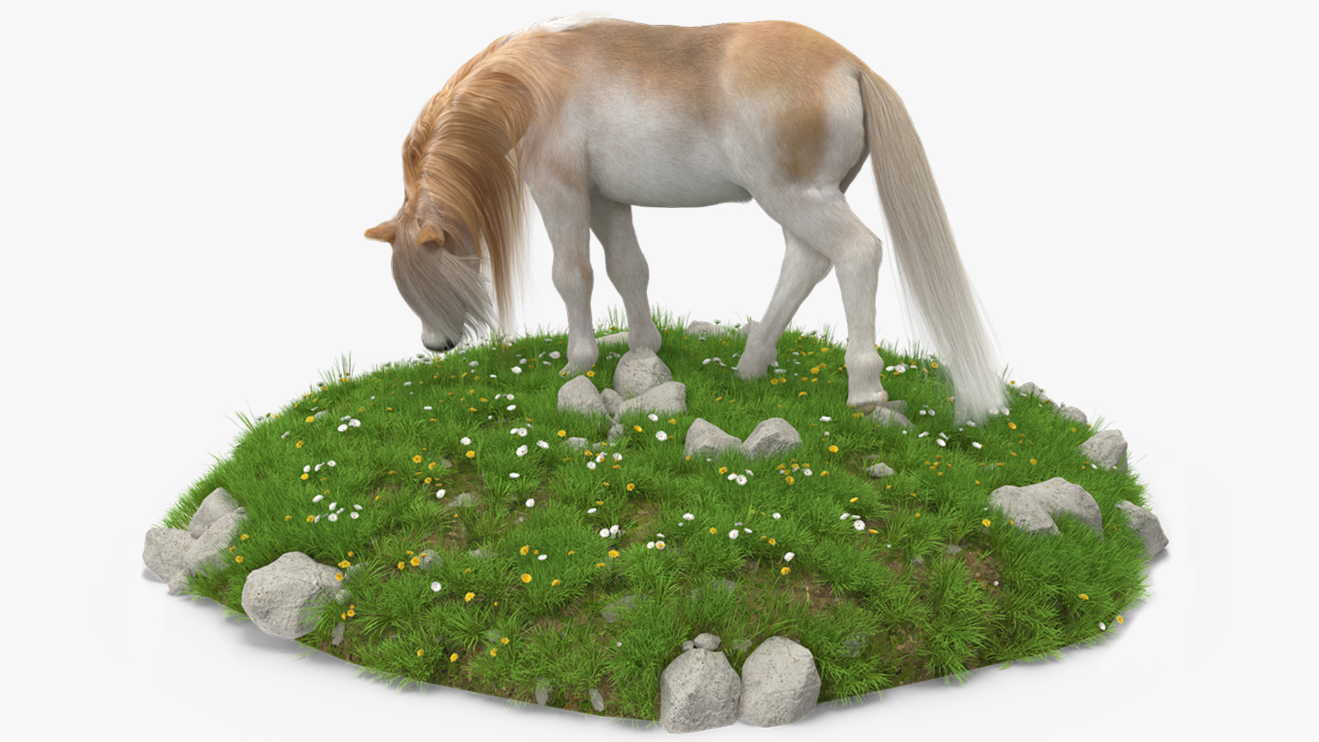3D Pony with Long Mane Grazing in a Meadow Fur model