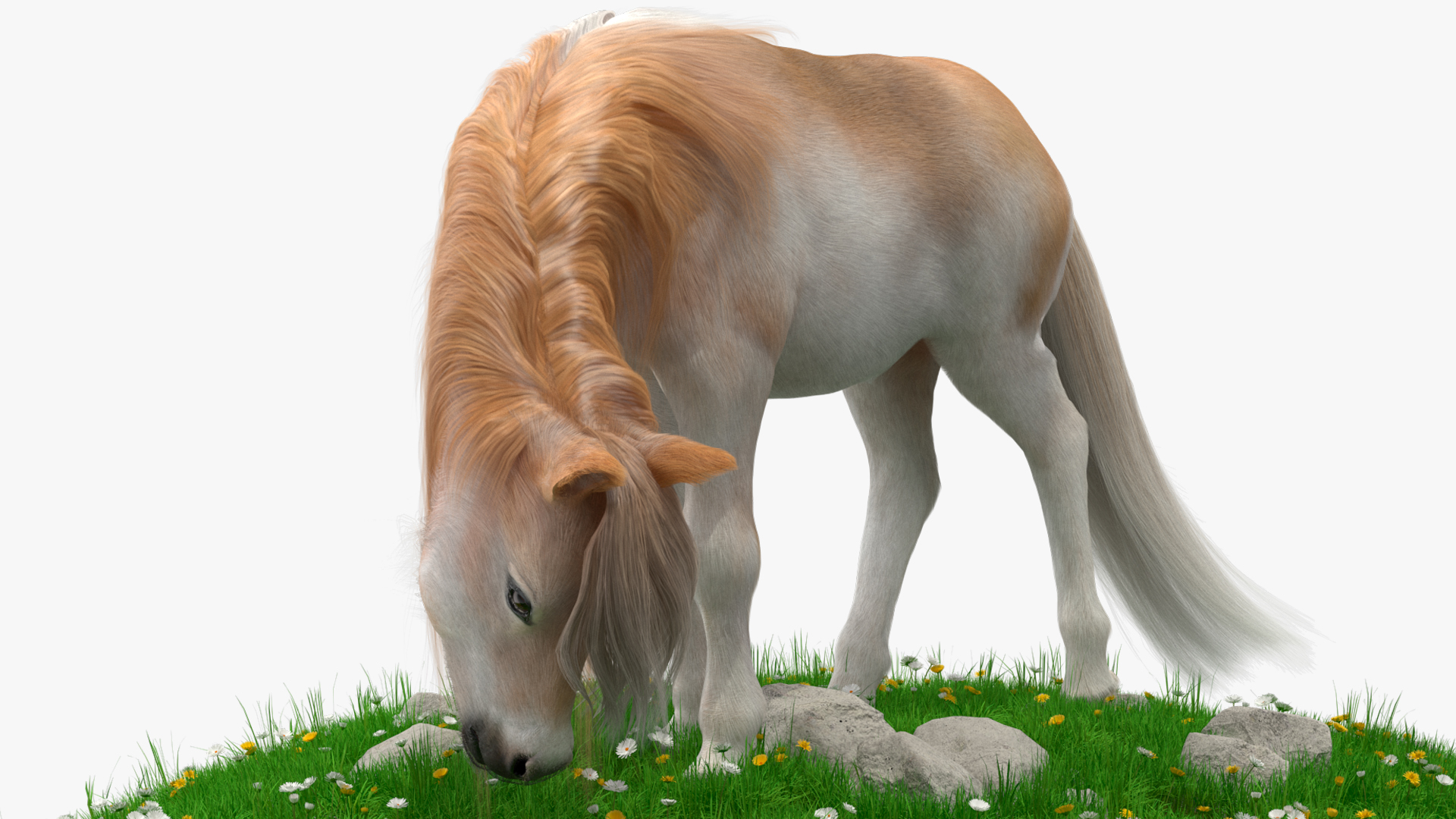 3D Pony with Long Mane Grazing in a Meadow Fur model
