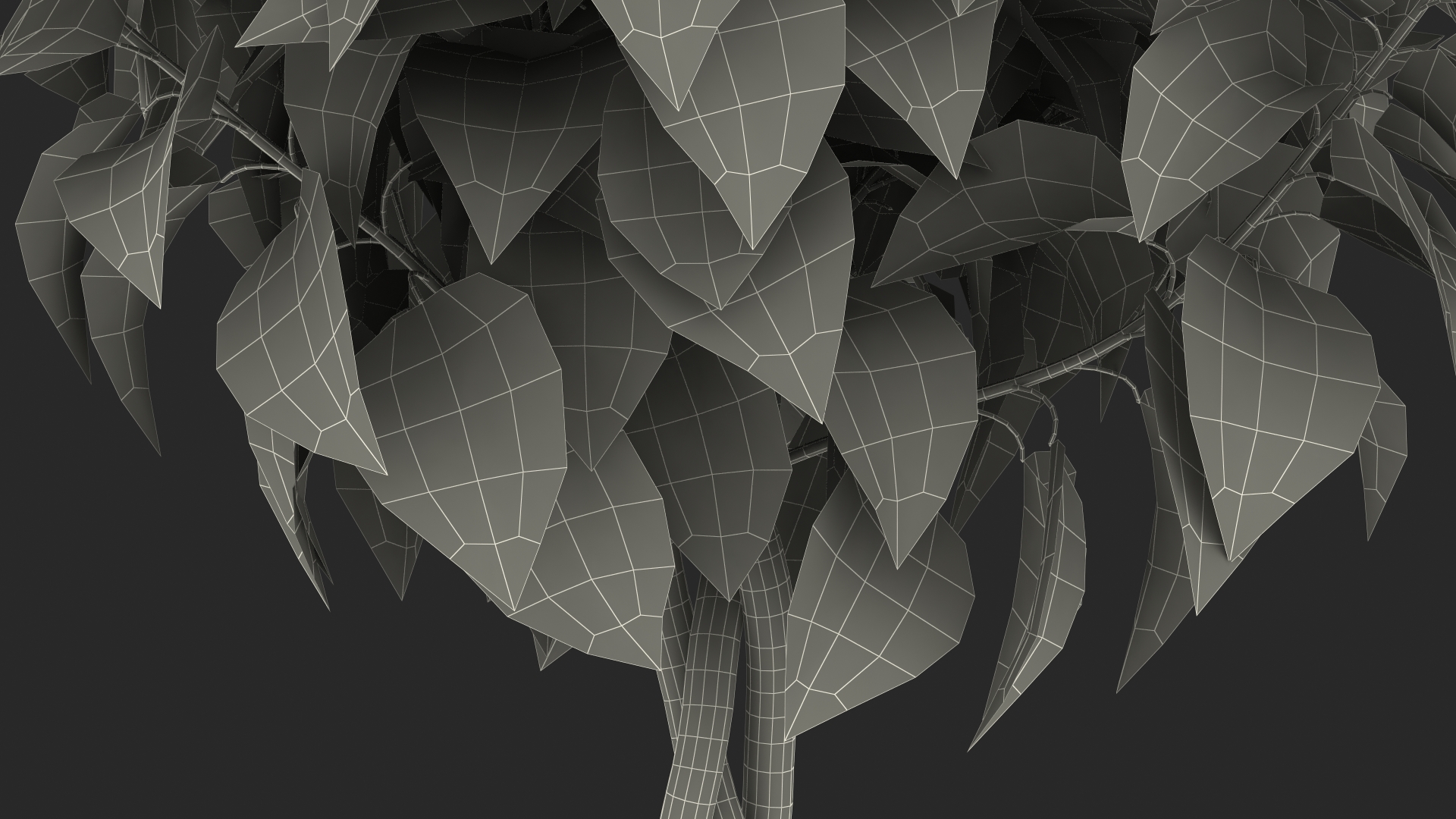 3D Braided Hibiscus Tree in Pot Pink model