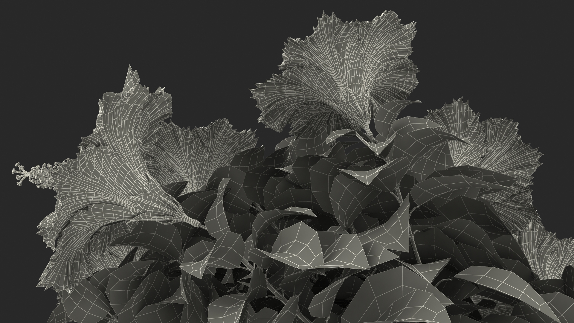3D Braided Hibiscus Tree in Pot Pink model