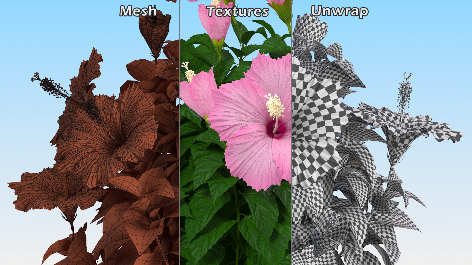 3D Braided Hibiscus Tree in Pot Pink model