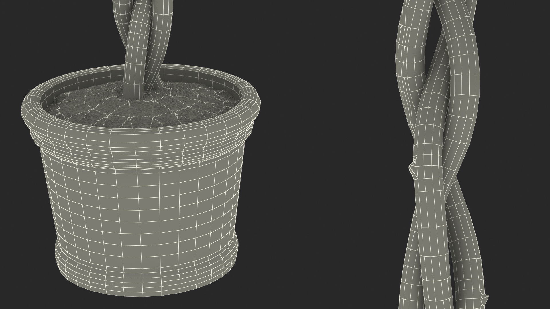 3D Braided Hibiscus Tree in Pot Pink model