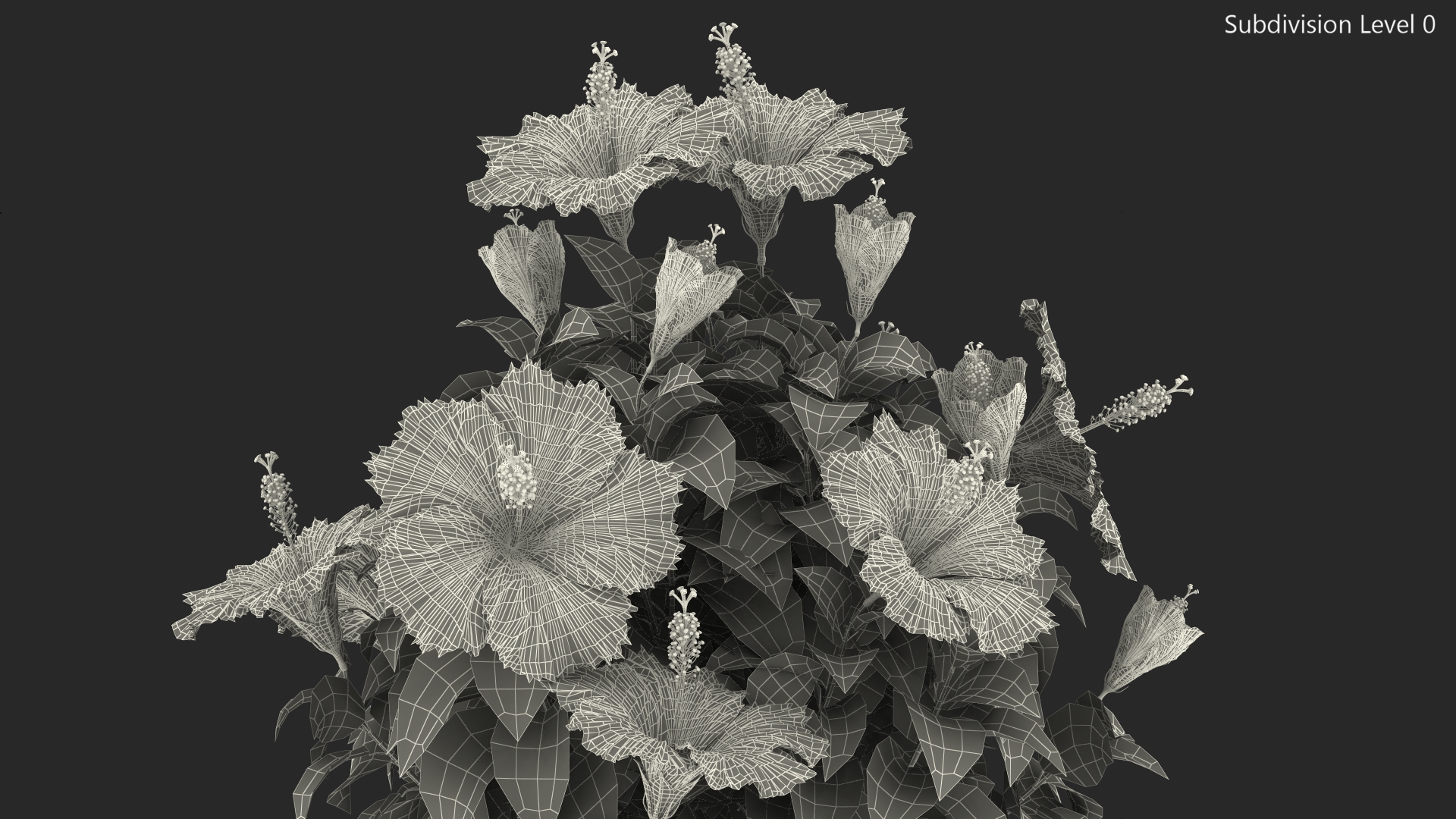 3D Braided Hibiscus Tree in Pot Pink model