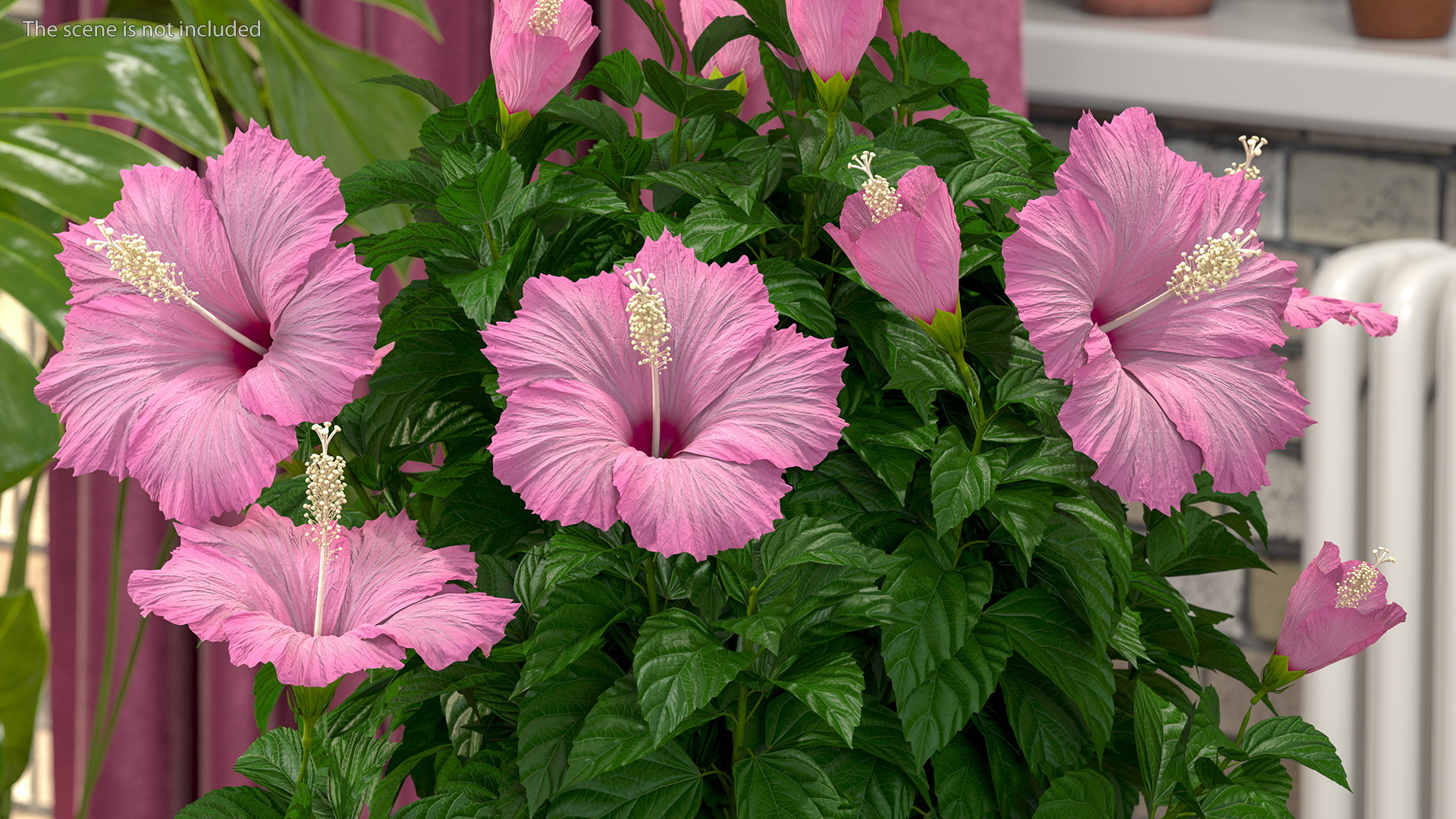 3D Braided Hibiscus Tree in Pot Pink model