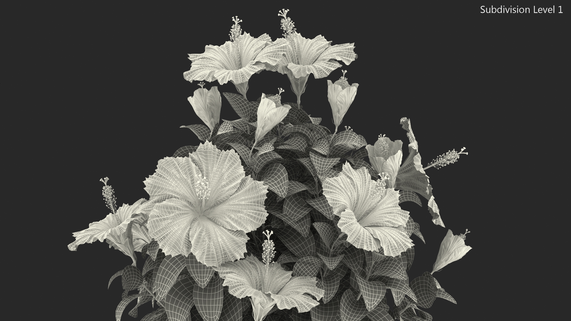 3D Braided Hibiscus Tree in Pot Pink model