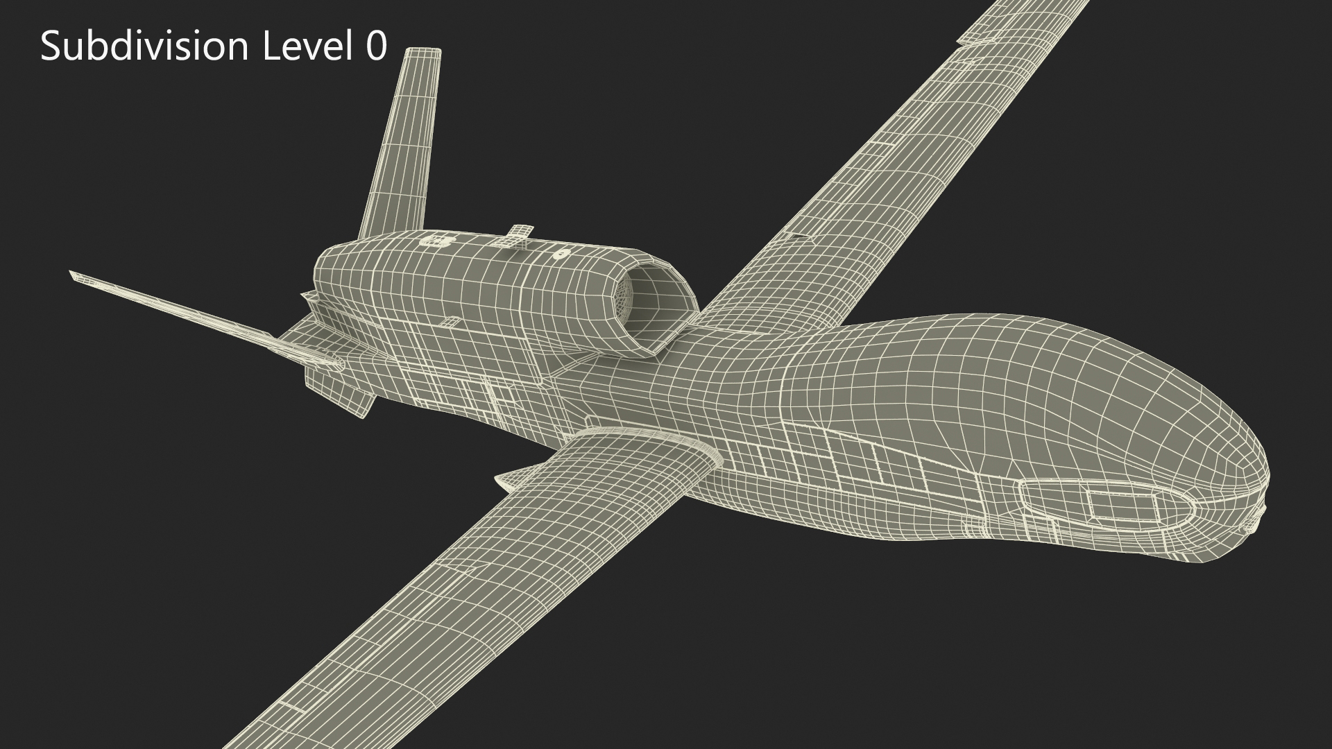 Drone RQ-4 Global Hawk Rigged 3D model
