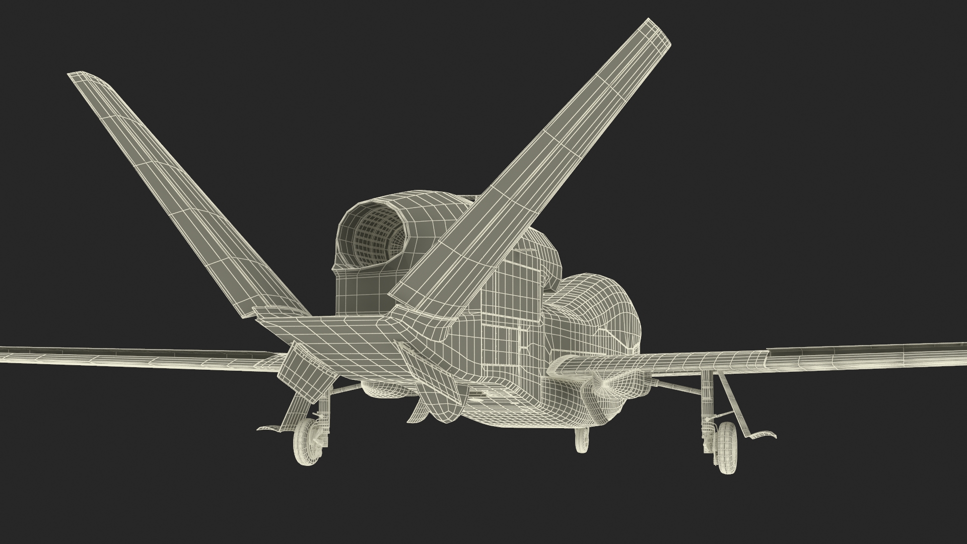 Drone RQ-4 Global Hawk Rigged 3D model