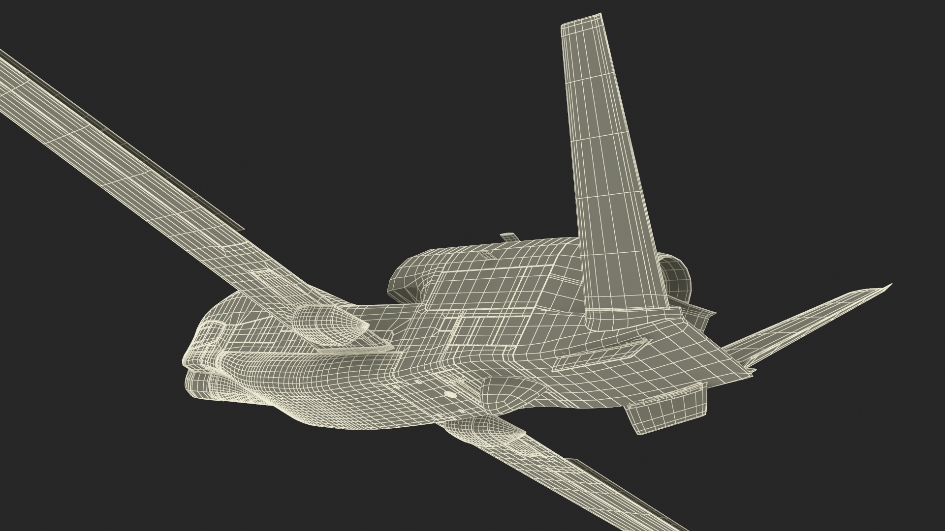 Drone RQ-4 Global Hawk Rigged 3D model