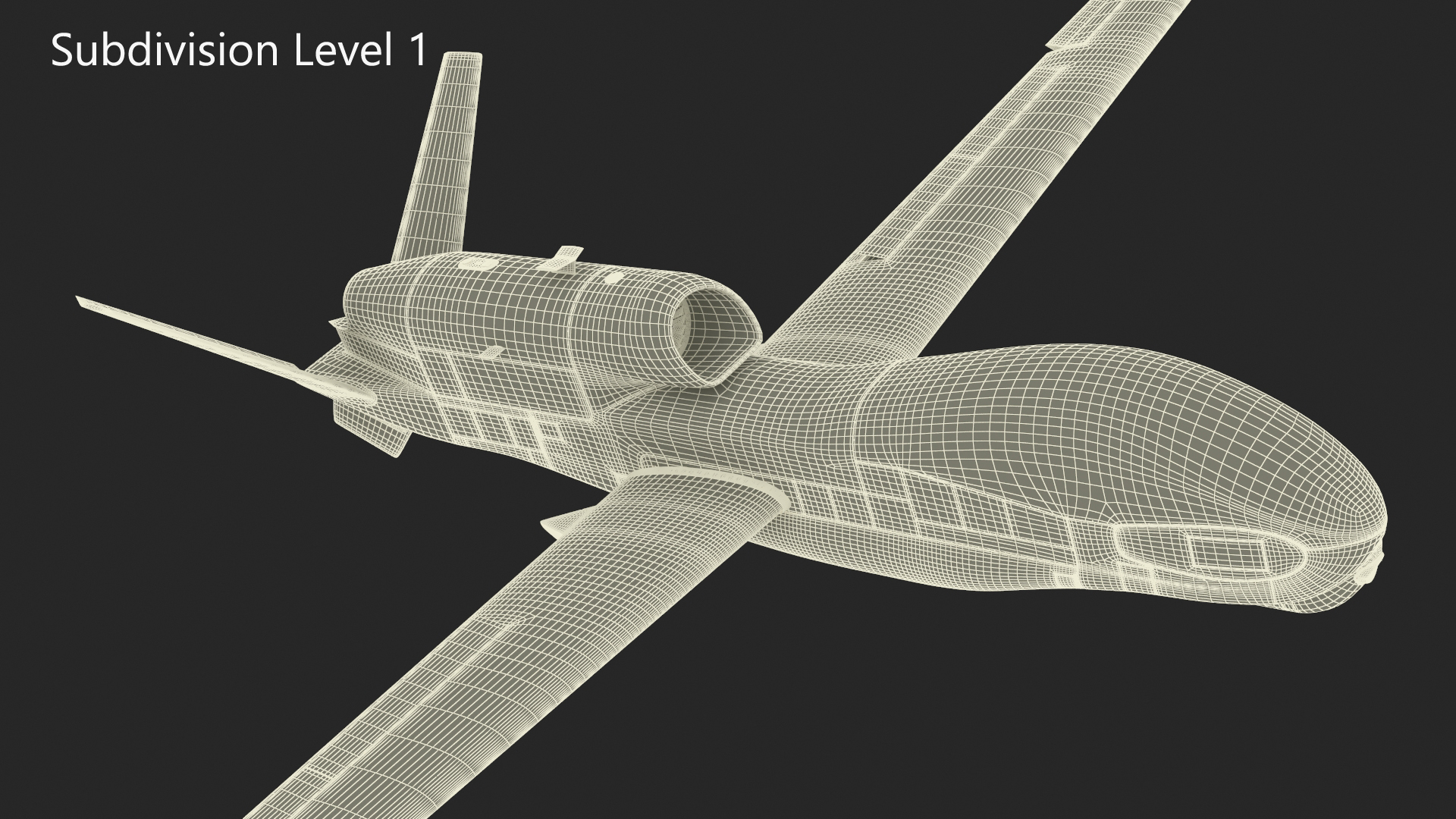 Drone RQ-4 Global Hawk Rigged 3D model