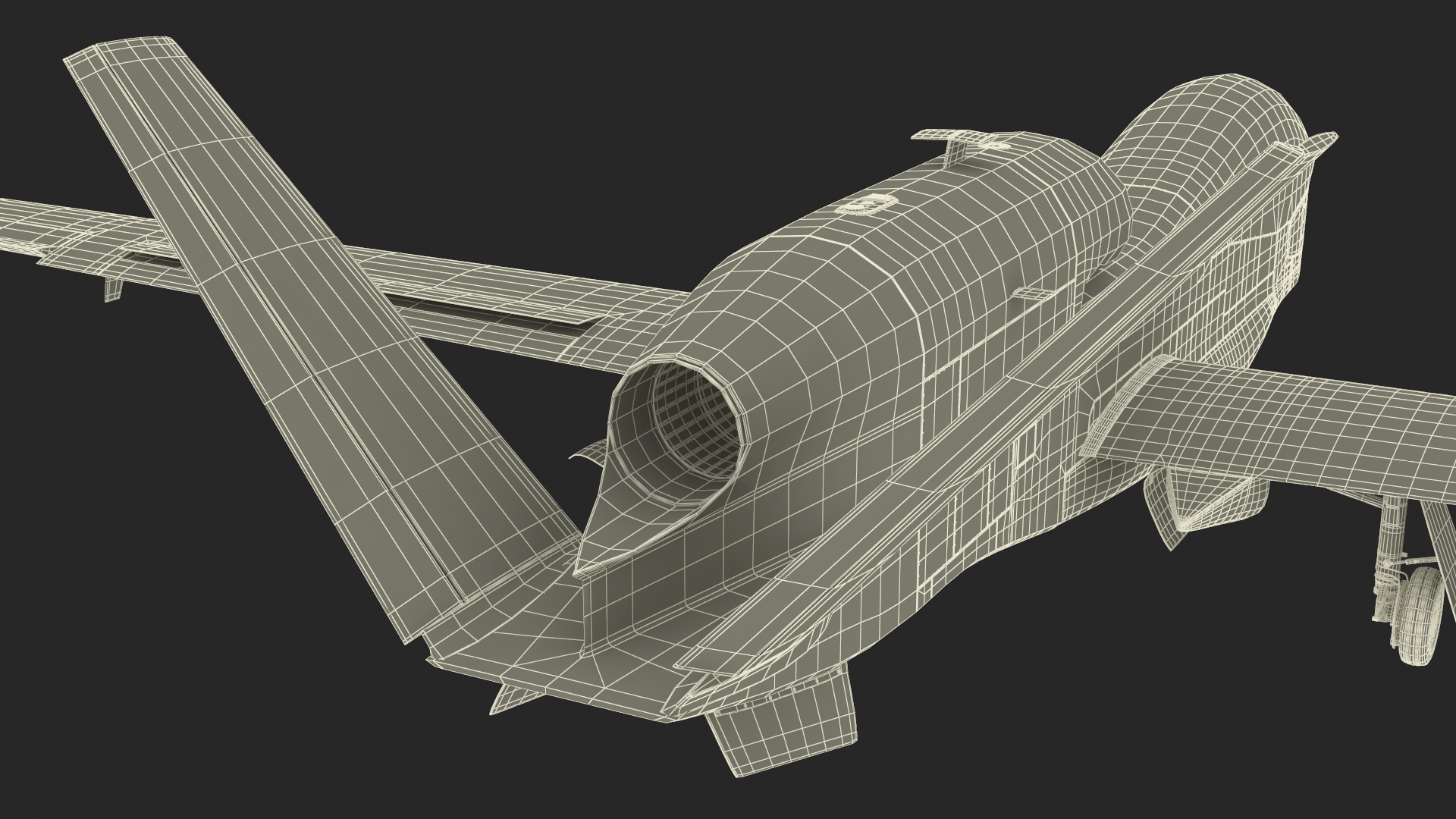 Drone RQ-4 Global Hawk Rigged 3D model