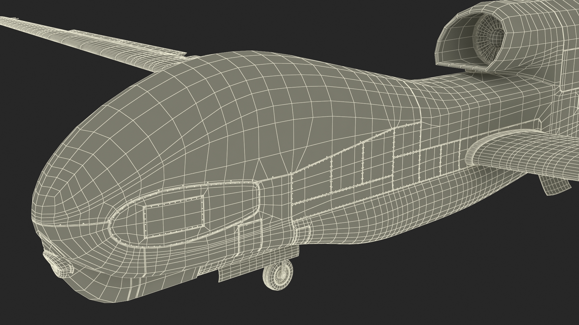 Drone RQ-4 Global Hawk Rigged 3D model