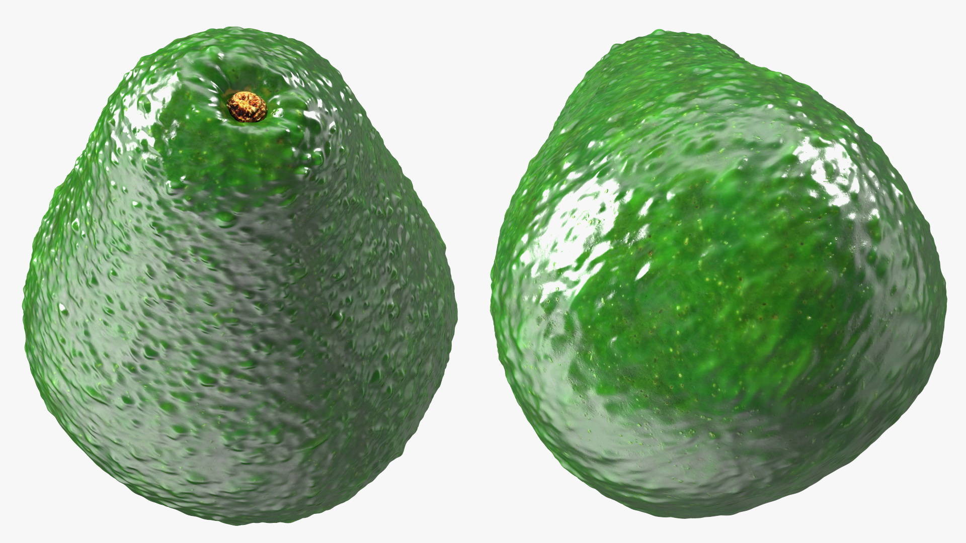 3D Avocado Fruit model