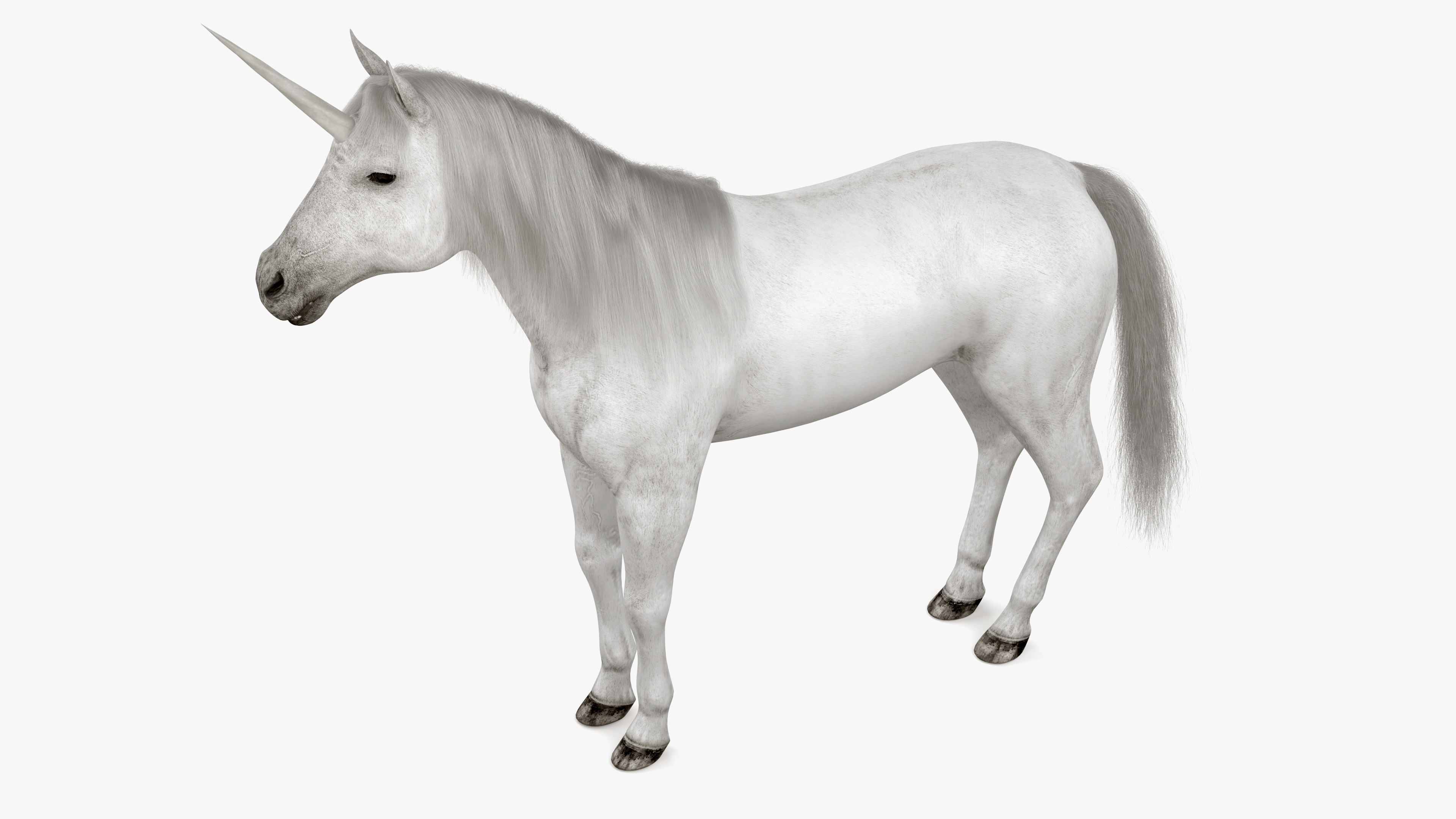 White Unicorn with Fur 3D