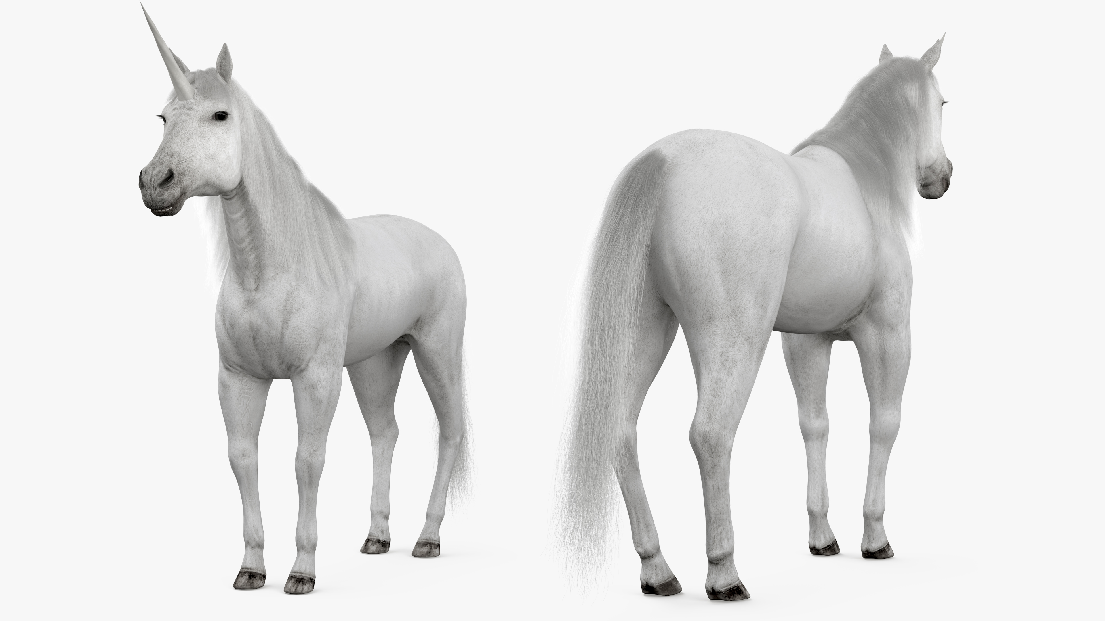 White Unicorn with Fur 3D
