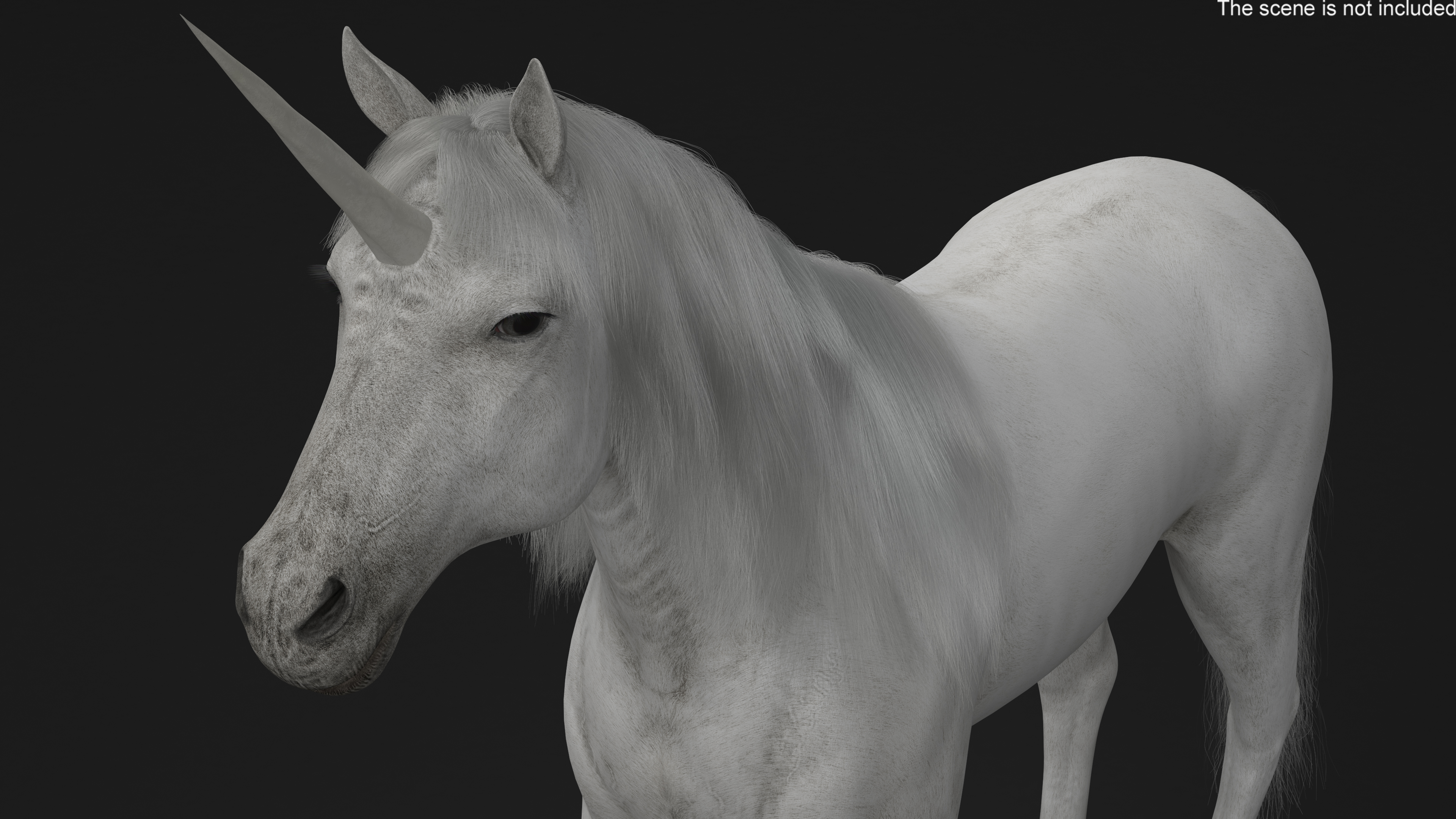 White Unicorn with Fur 3D