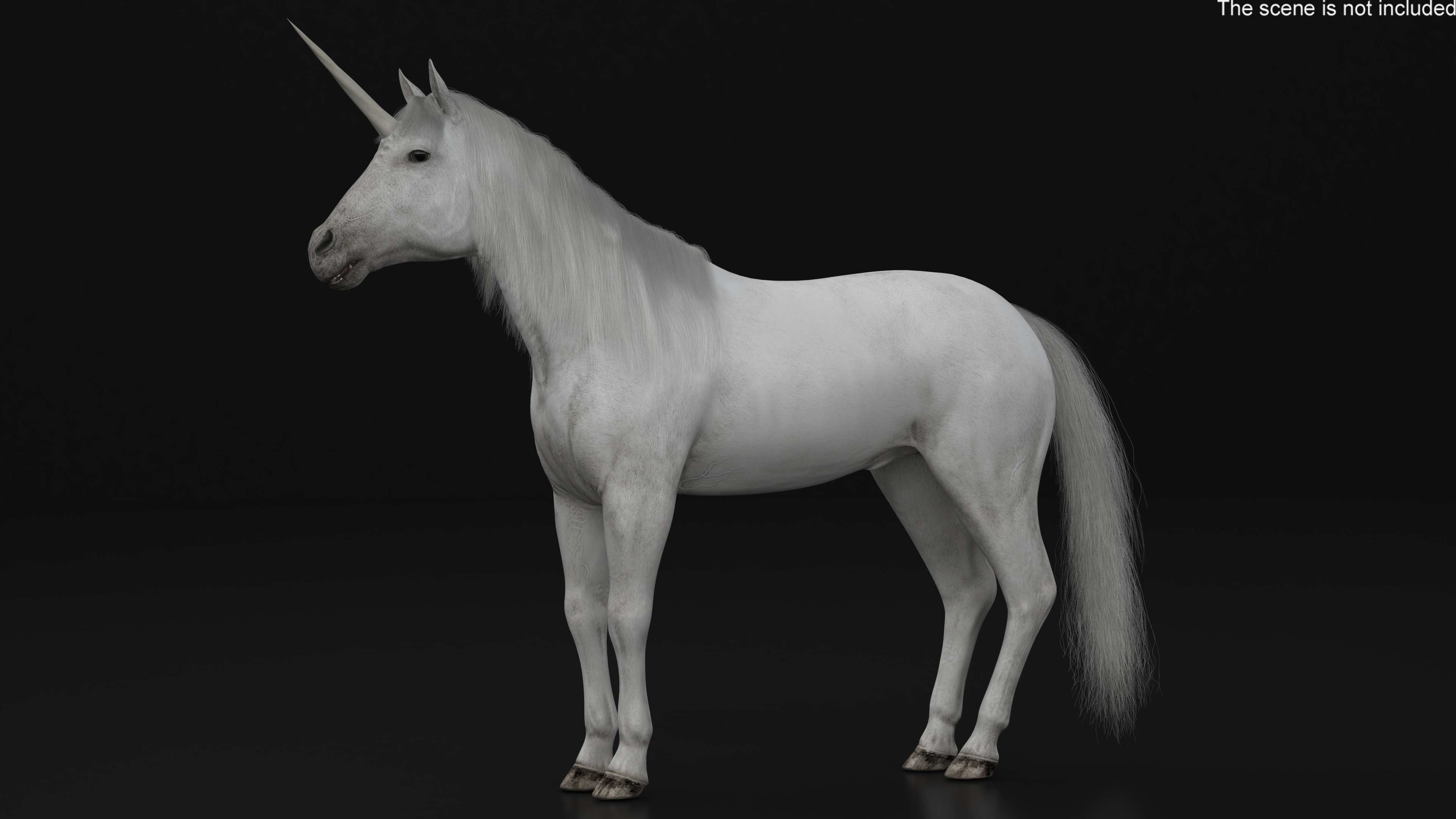 White Unicorn with Fur 3D