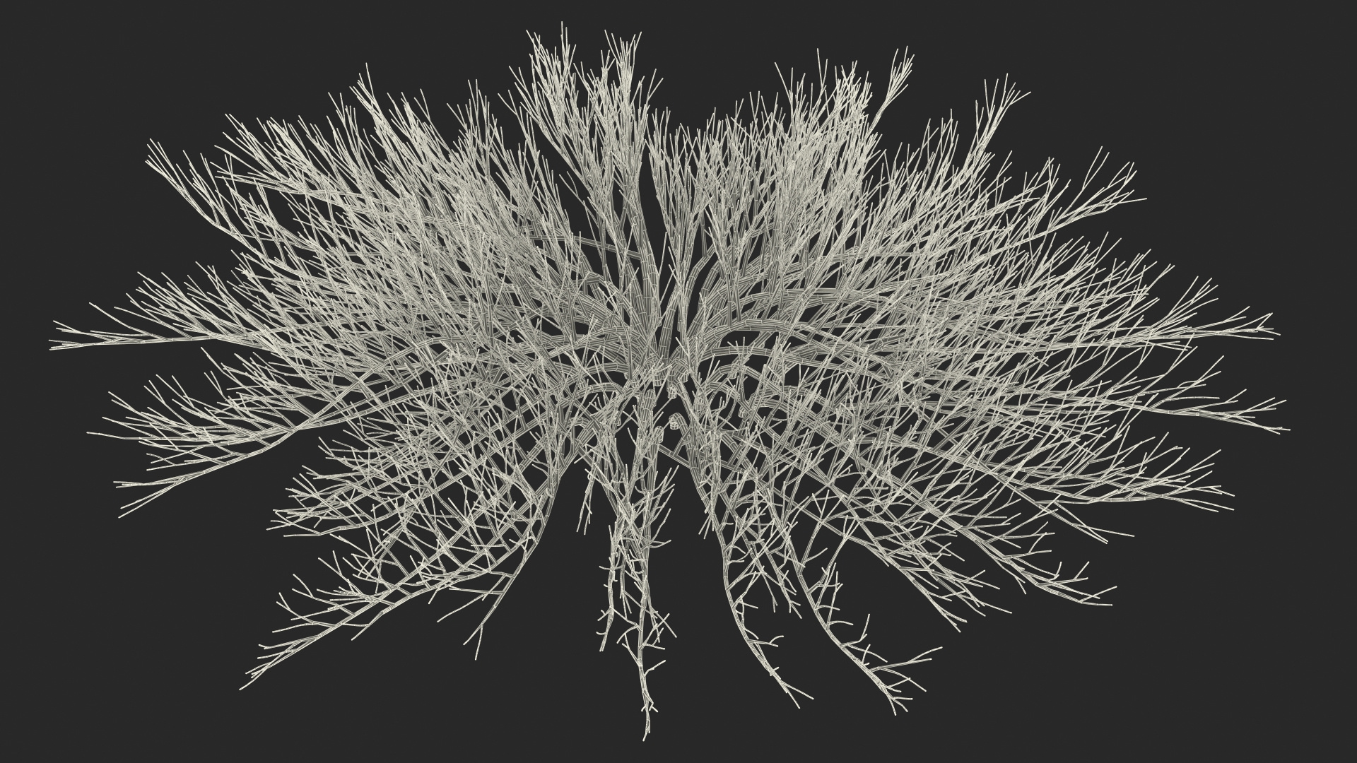 Horizontal Conifer Shrub 3D model
