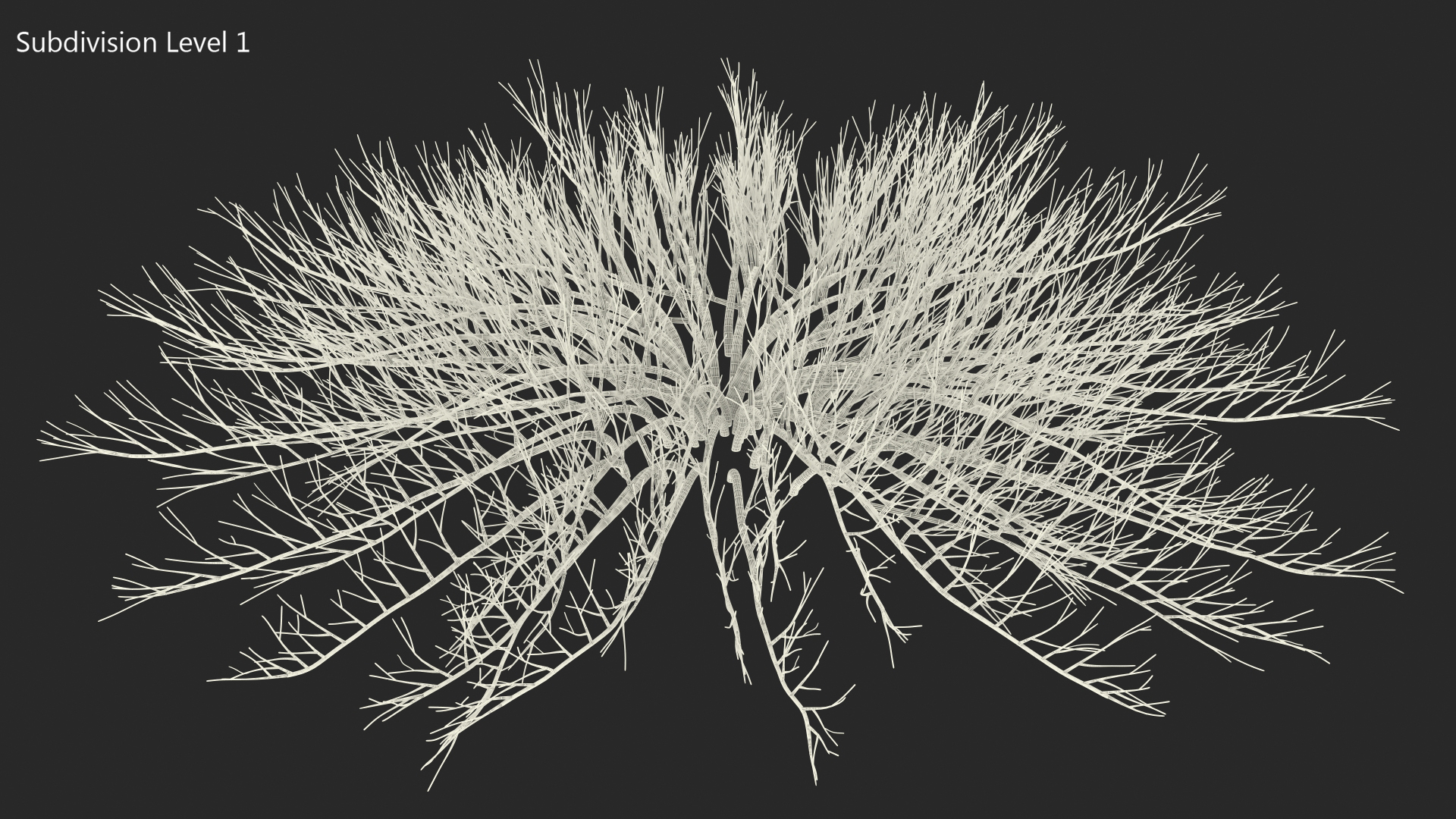 Horizontal Conifer Shrub 3D model