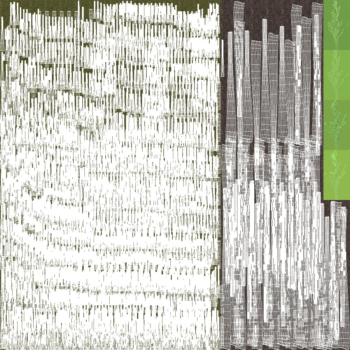 Horizontal Conifer Shrub 3D model